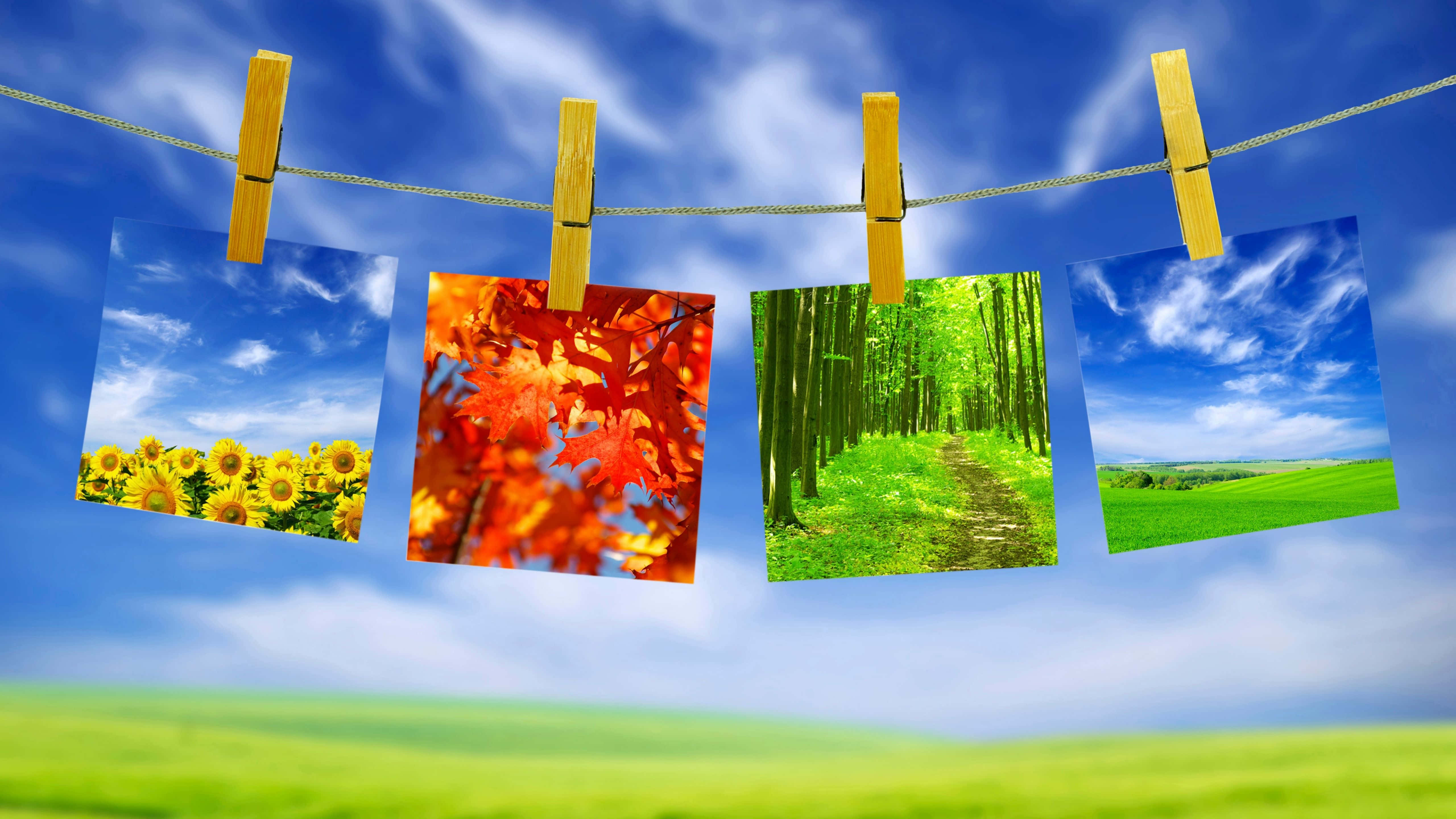 En fascinerende solopgang over et vidtstrakt mark Wallpapers