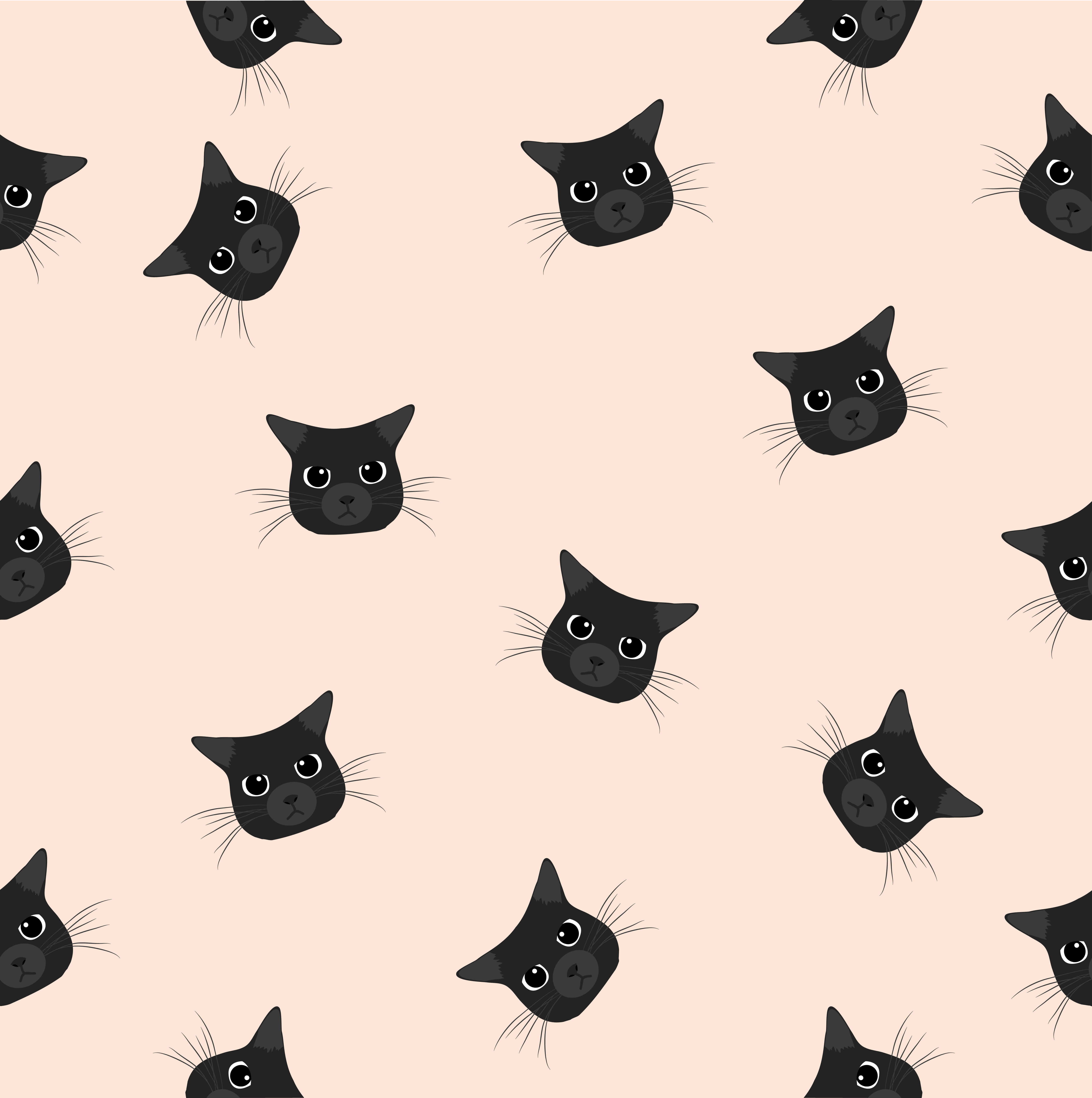 En fascinerende sort kat undersøger sine omgivelser Wallpapers