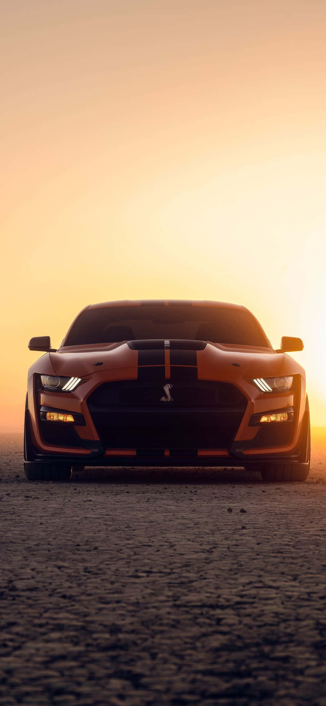en ford mustang gt sidder i ørkenen ved solnedgang Wallpapers