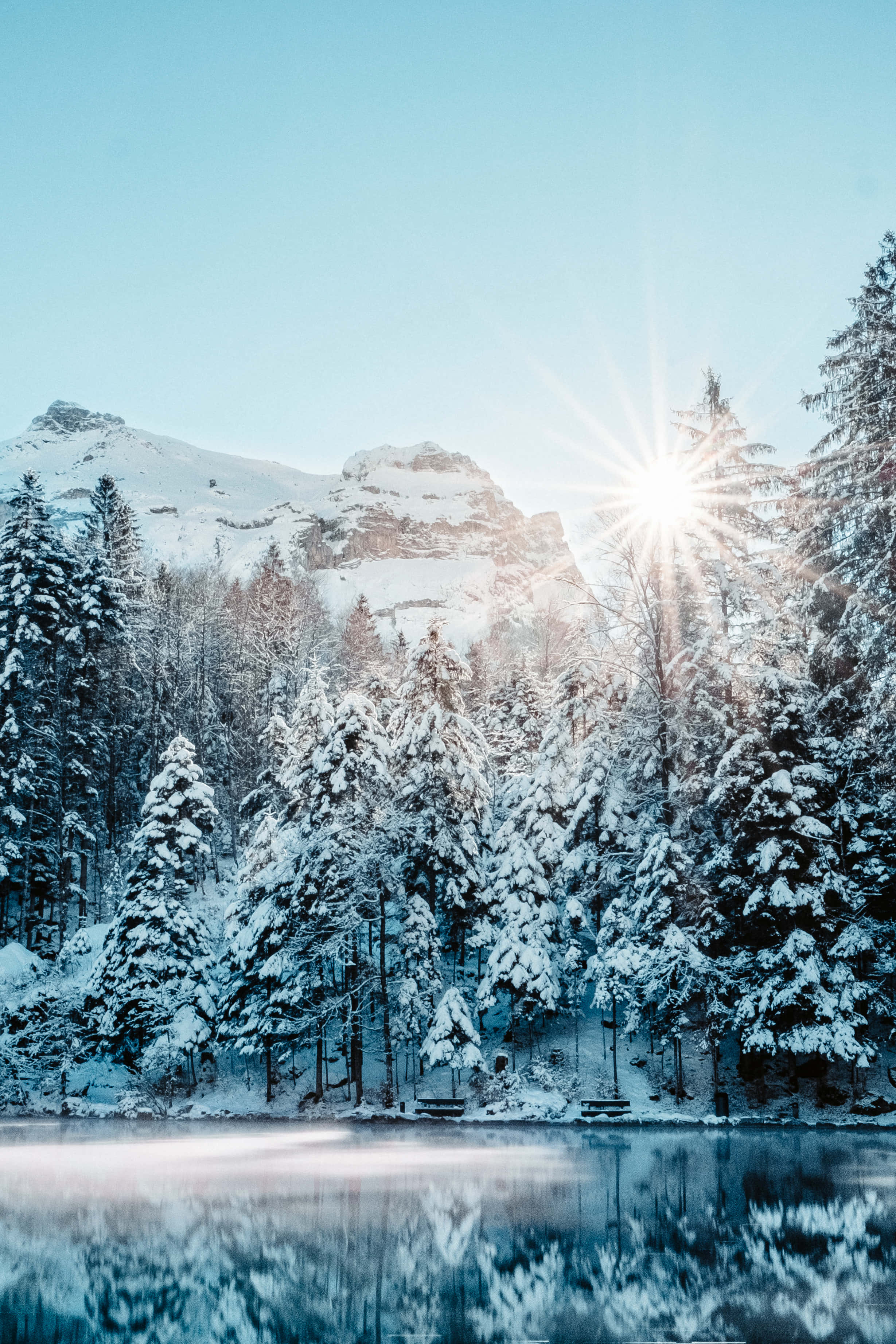 En fredfyldt vinteridyl venter Wallpapers