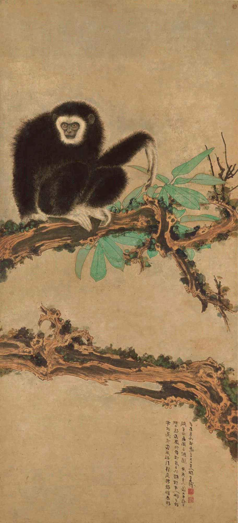 En gibbon sidder på en grenet Android Wallpapers