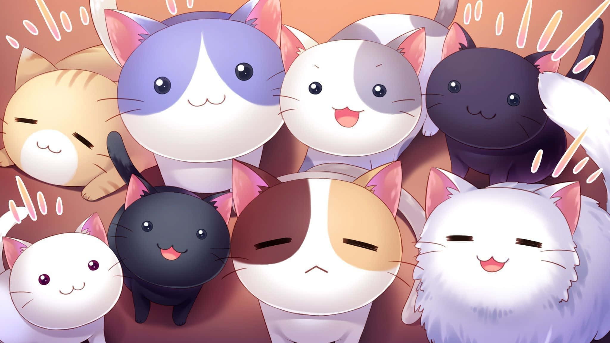en gruppe katte med ansigterne opad Wallpapers