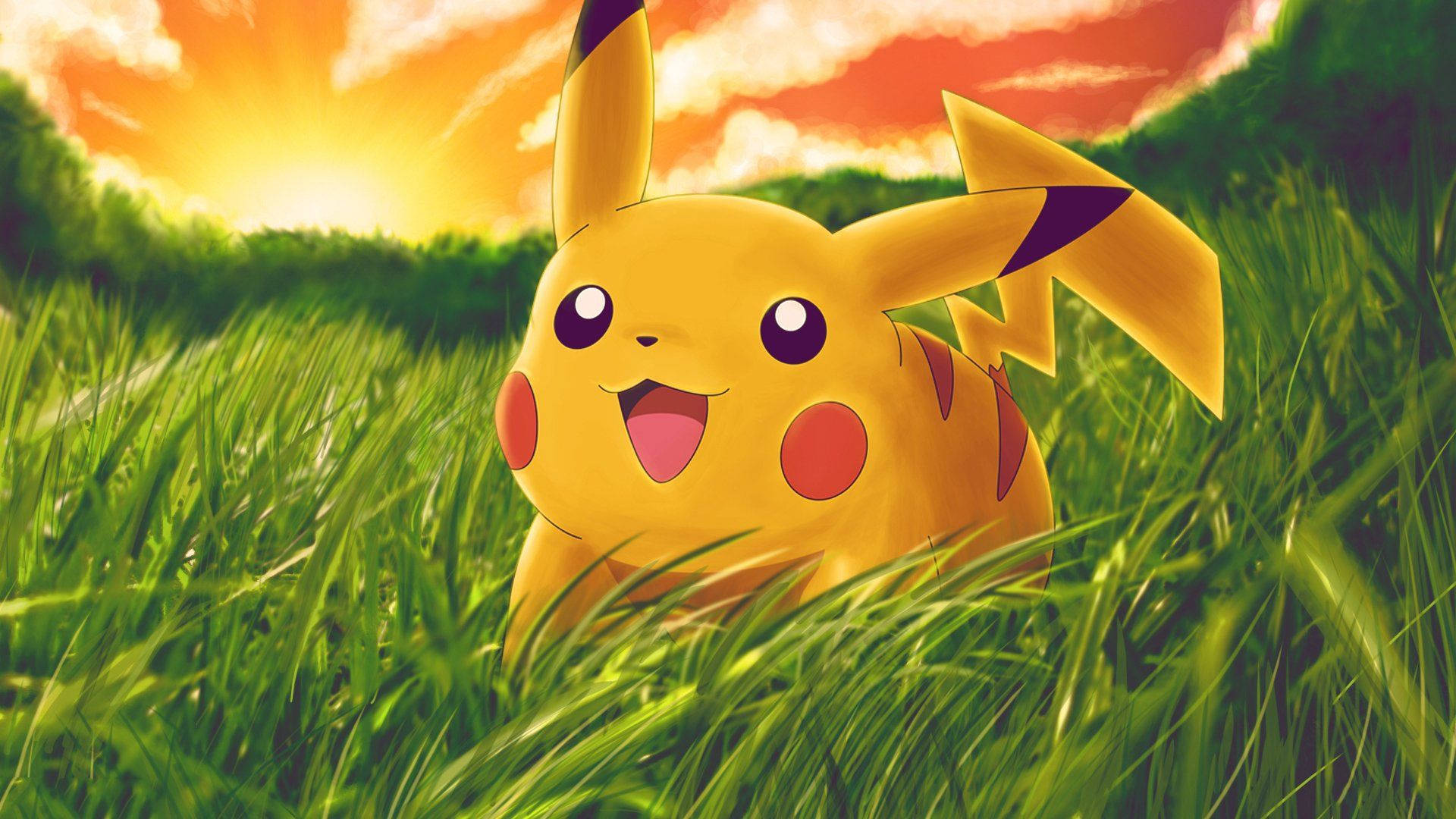 En håbefuld Pikachu nyder livet i det fri Wallpapers