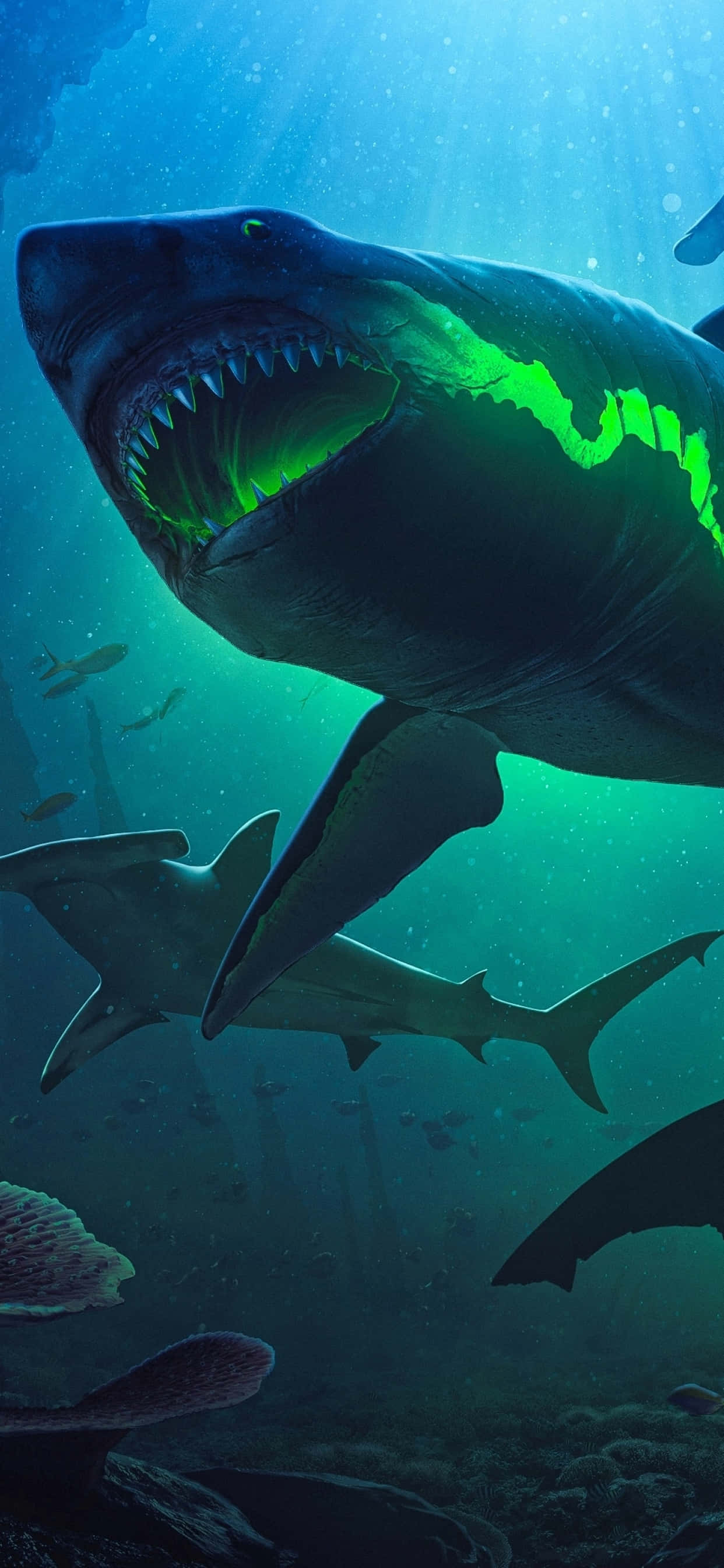 en haj, der svømmer i havet med grønne lys Wallpapers