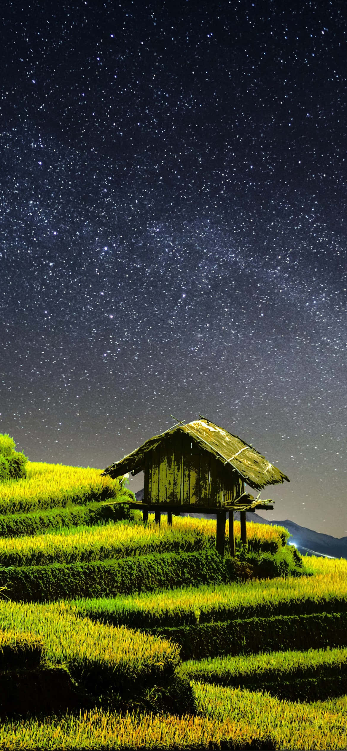 En hård dags arbejde på marken Wallpapers