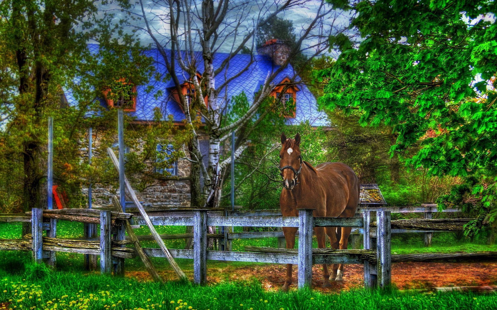 En hest, der står foran et hus en smuk aften Wallpapers