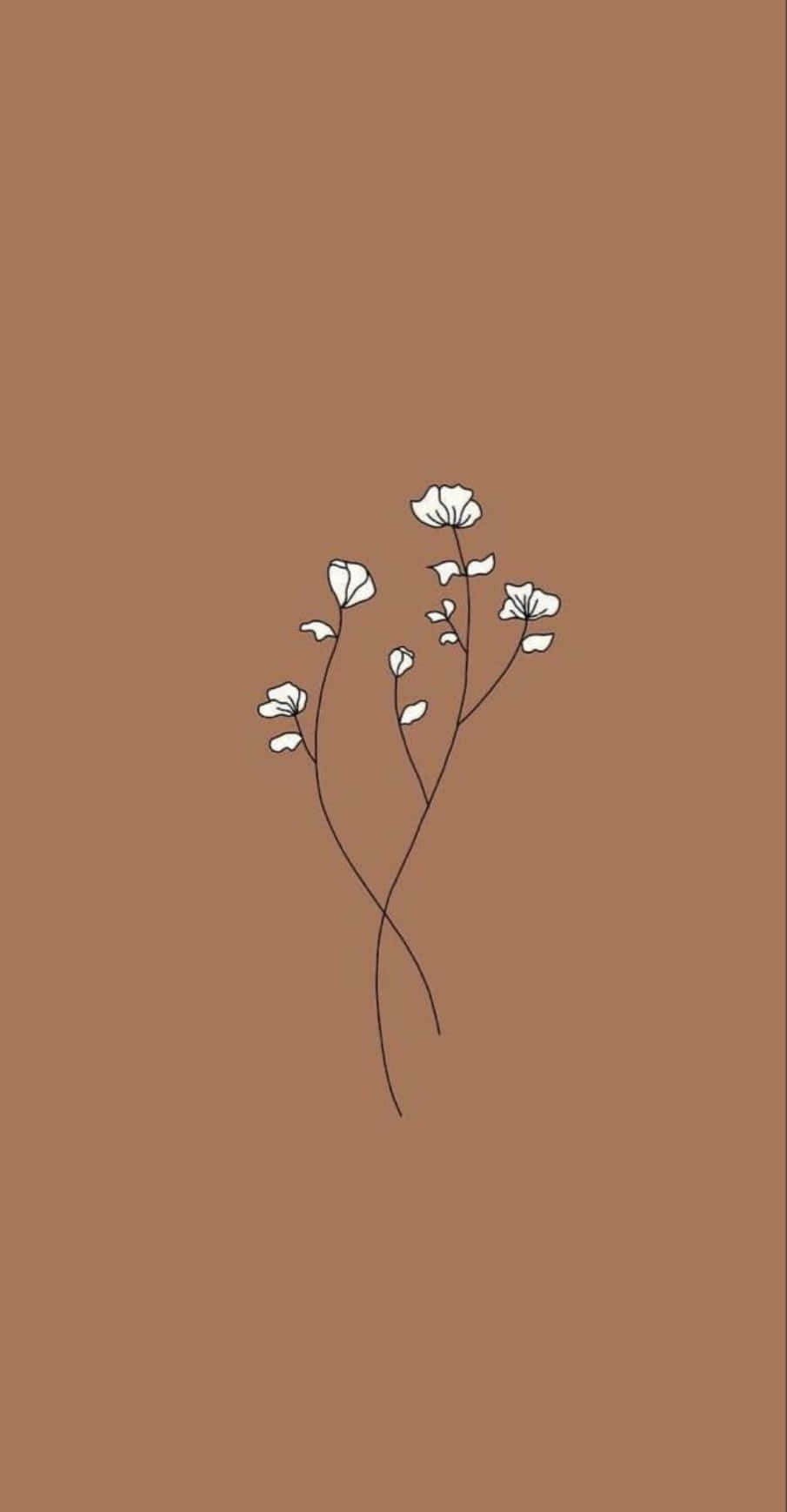 en hvid blomst på en brun baggrund Wallpapers