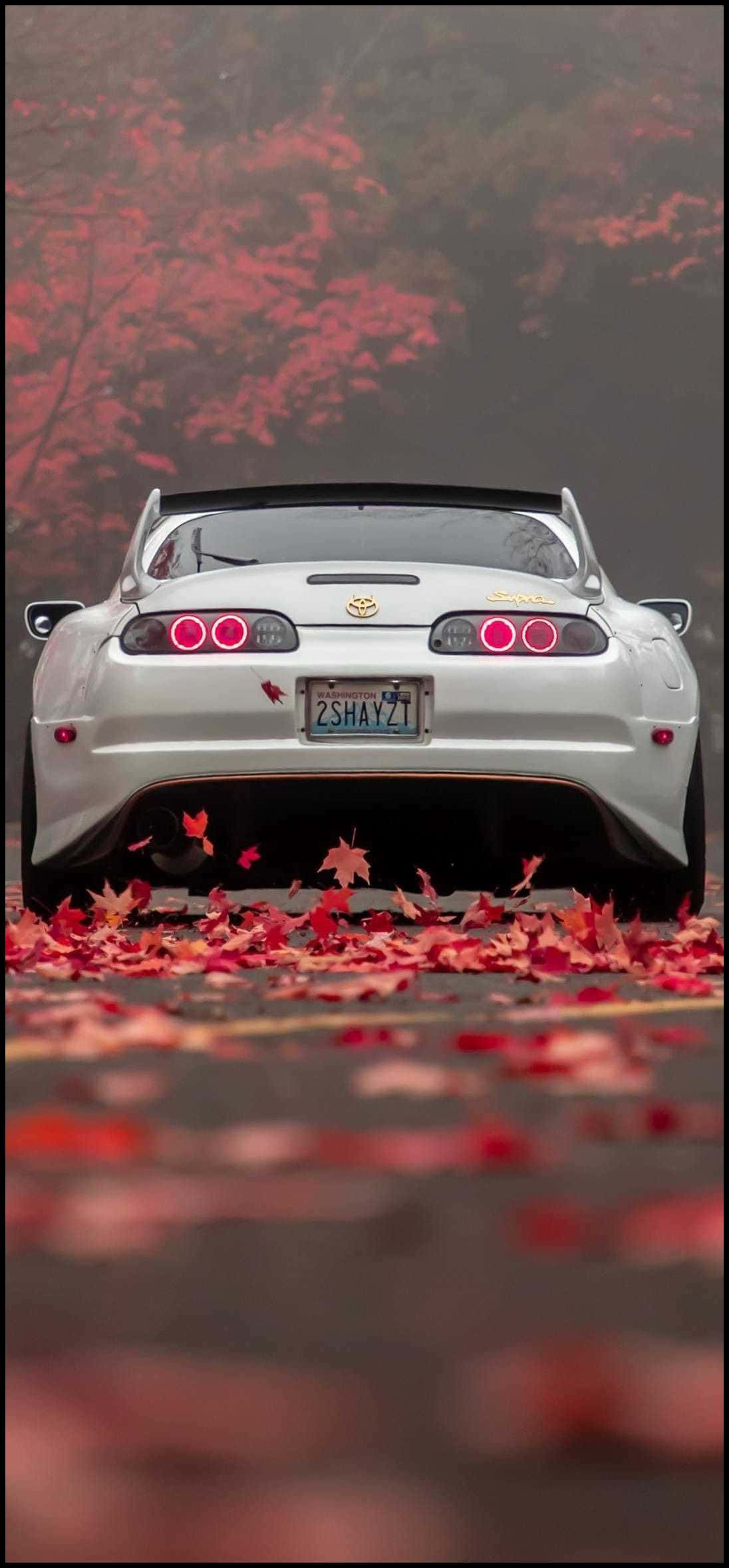 en hvid sportsvogn holder parkeret midt på en mark med blade Wallpapers