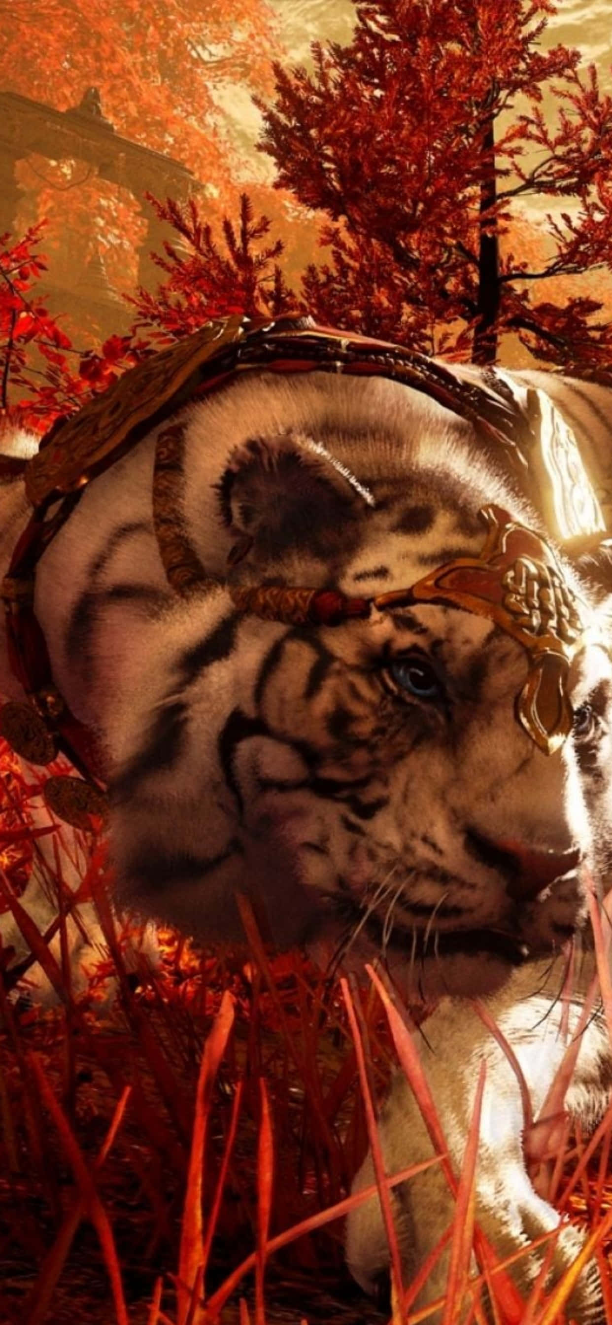 en hvid tiger ligger i græsset Wallpapers