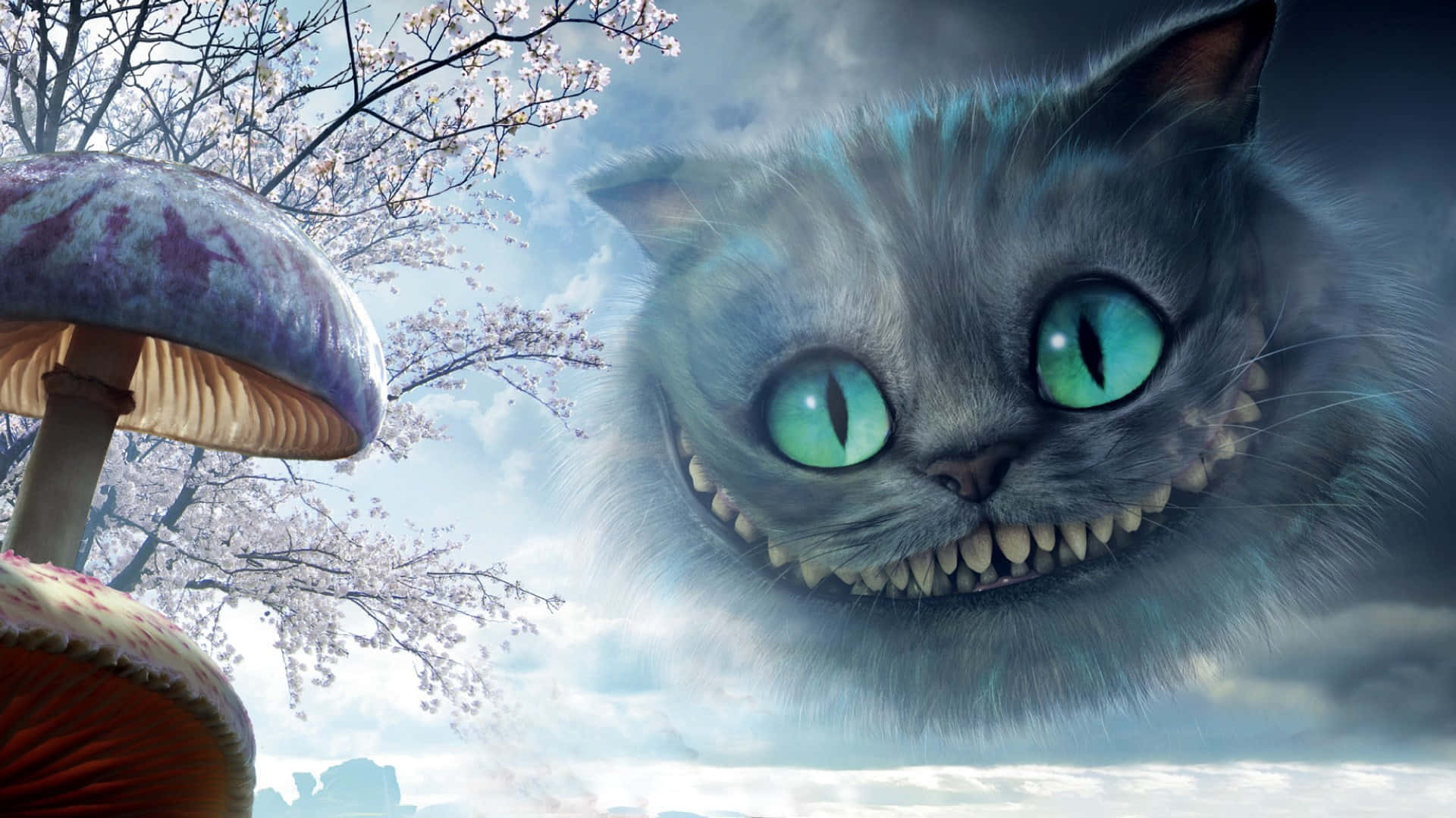 En kæmpe Cheshire Cat smiler lusket i stjernelyset. Wallpapers