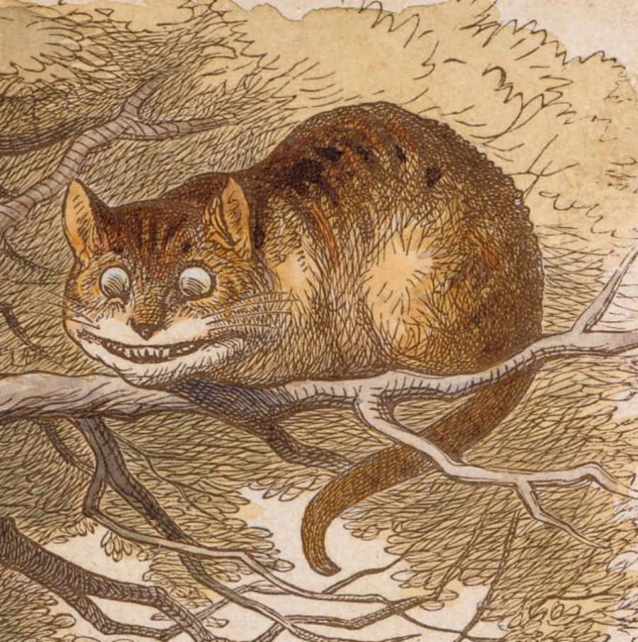 en kat der sidder på en trægren Wallpapers