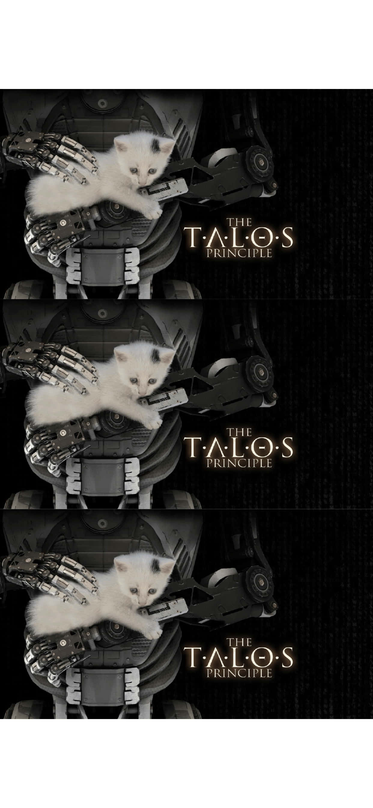 en kat sidder på en robot Wallpapers