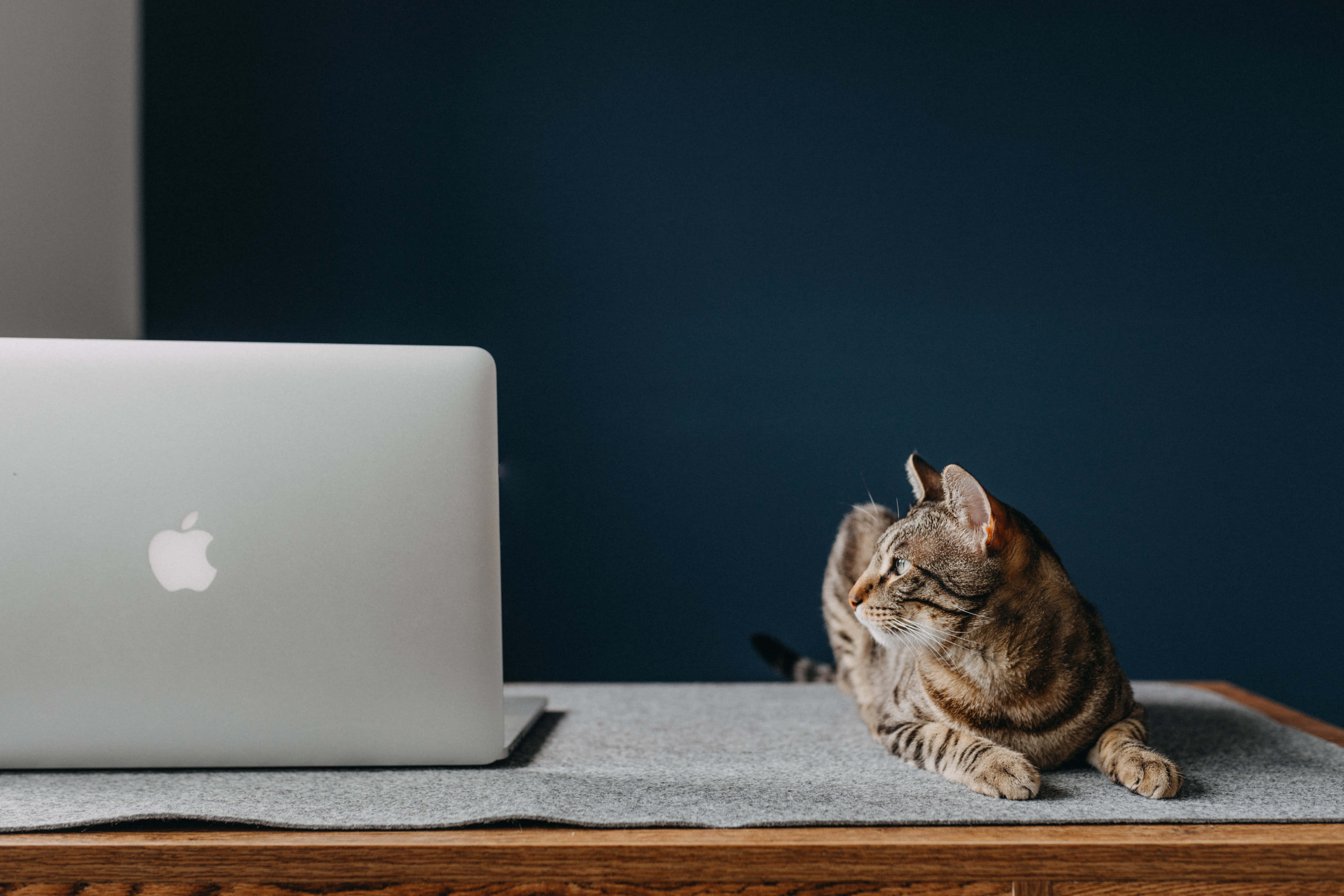 En klassisk Macbook bærbar med minimalistisk layout Wallpapers