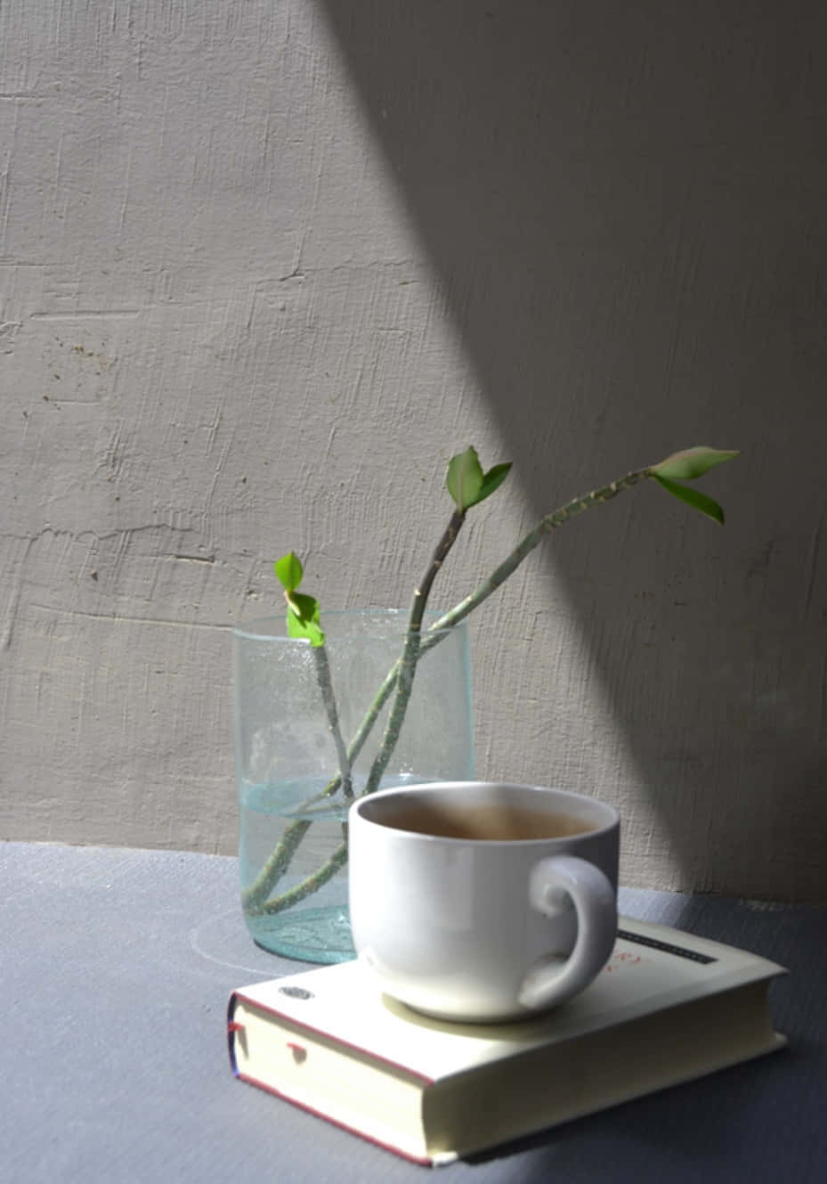 en kop kaffe og en bog på et bord Wallpapers