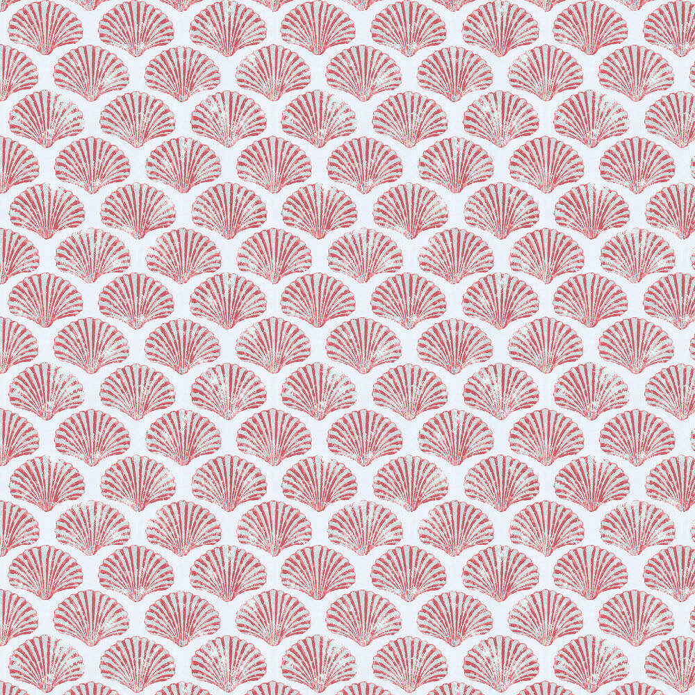 En kunstnerisk collage af kammuslingsskaller i nuancer af pink og hvid Wallpapers