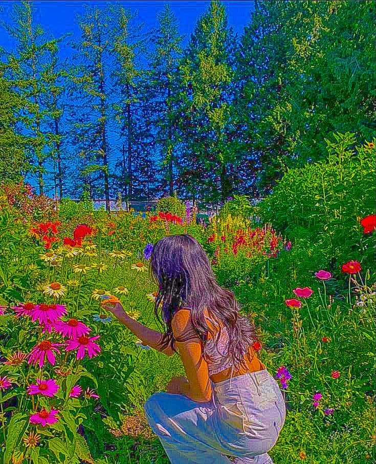 en kvinde knæler ned i en blomsterhave Wallpapers