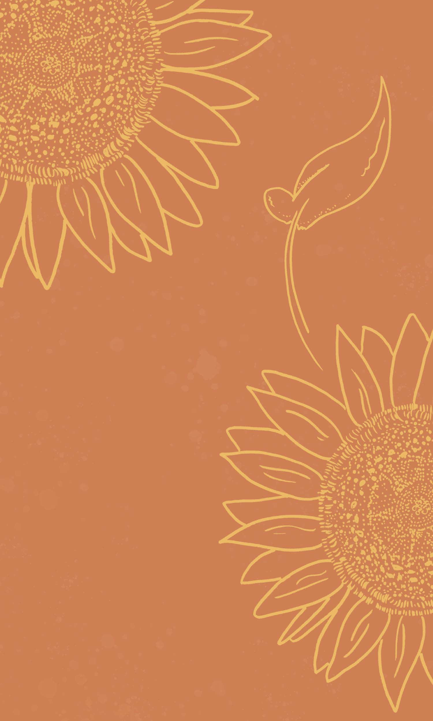 En levende æstetisk solsikke, der sprudler af skønhed Wallpapers