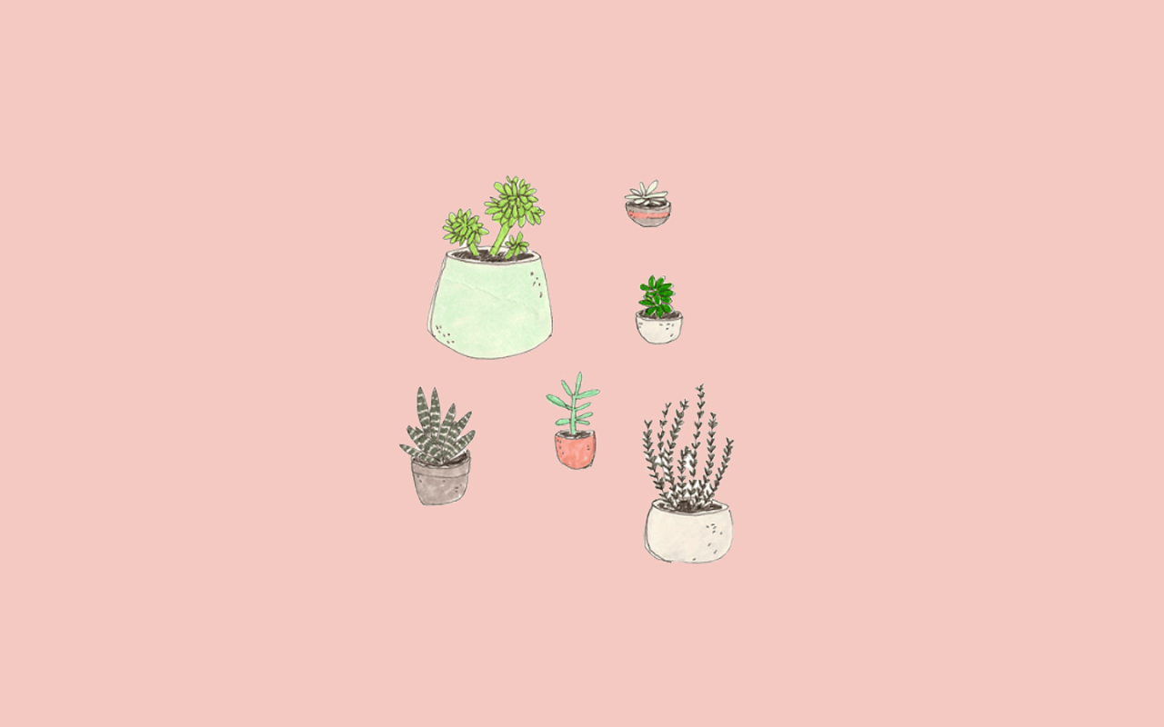 en lyserød baggrund med en masse planter i potter Wallpapers