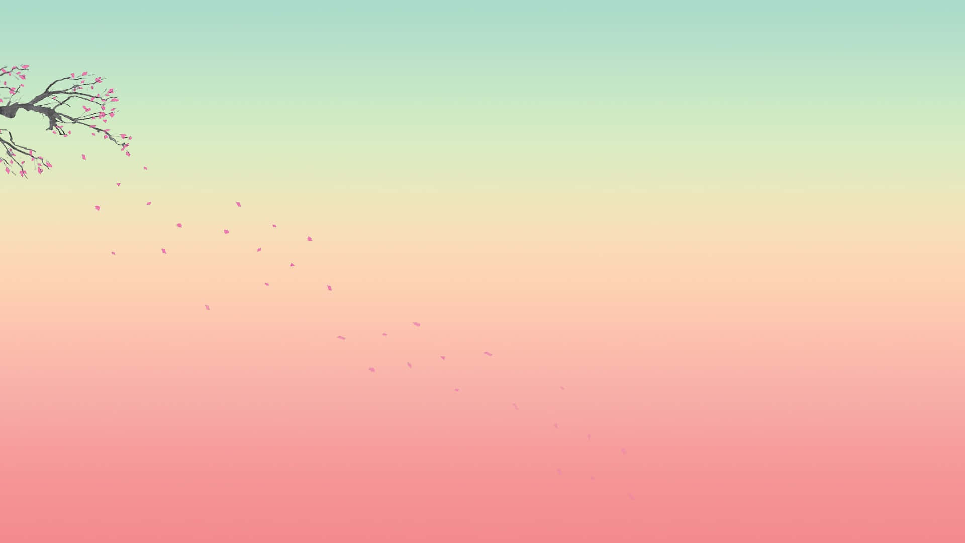 en lyserød og grøn baggrund med et kirsebærtræ Wallpapers