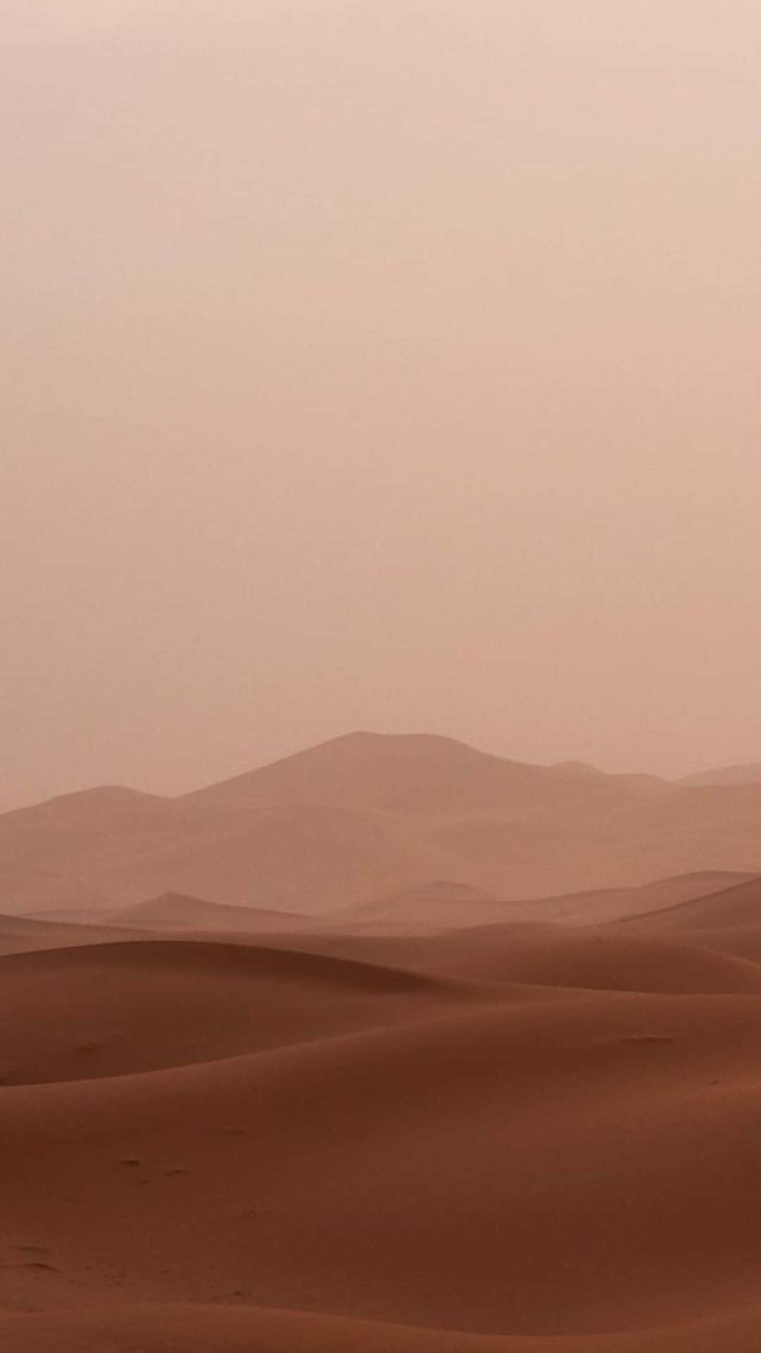 En mand går gennem ørkenen Wallpapers