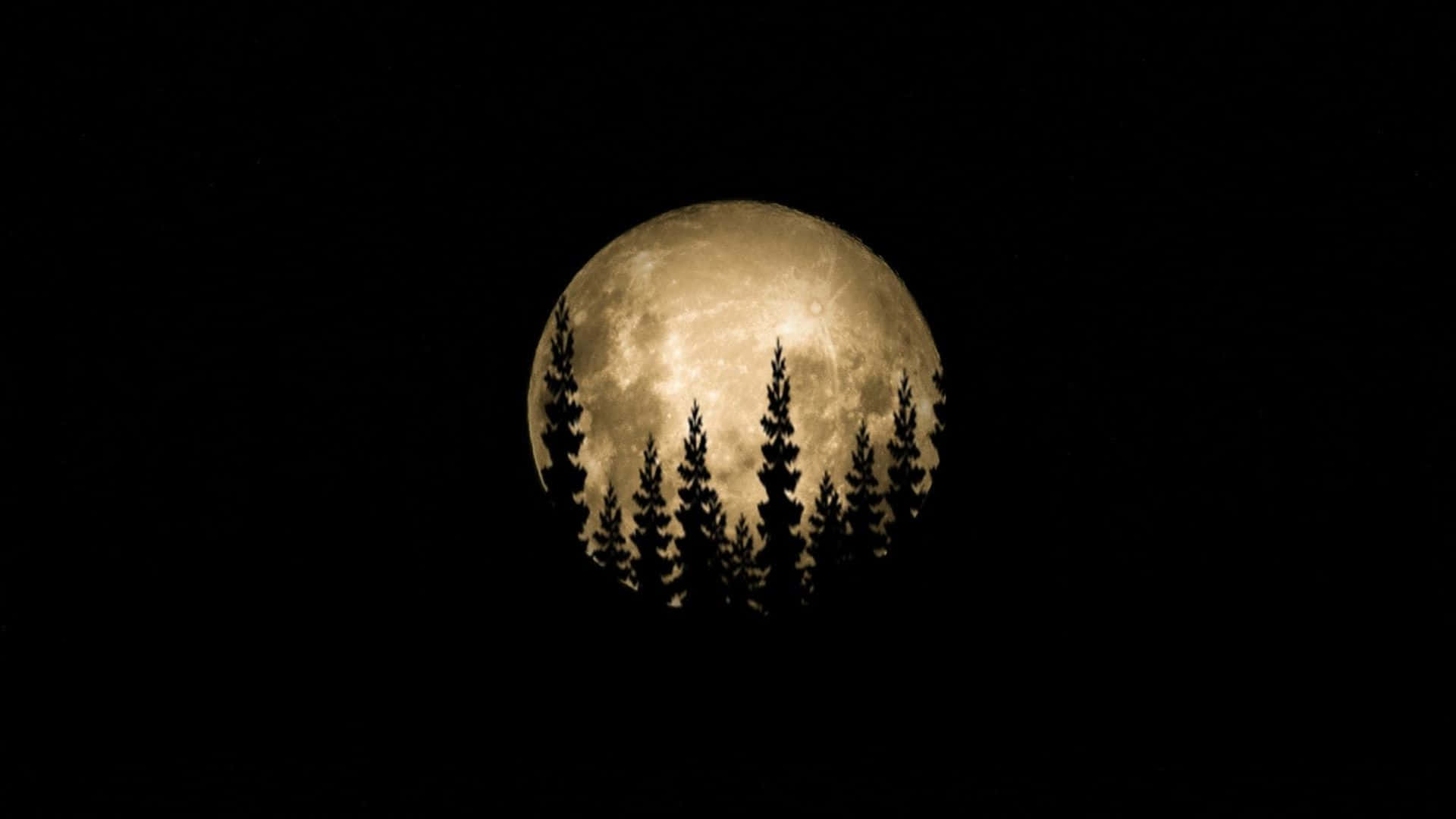 en måne med træer i baggrunden Wallpapers