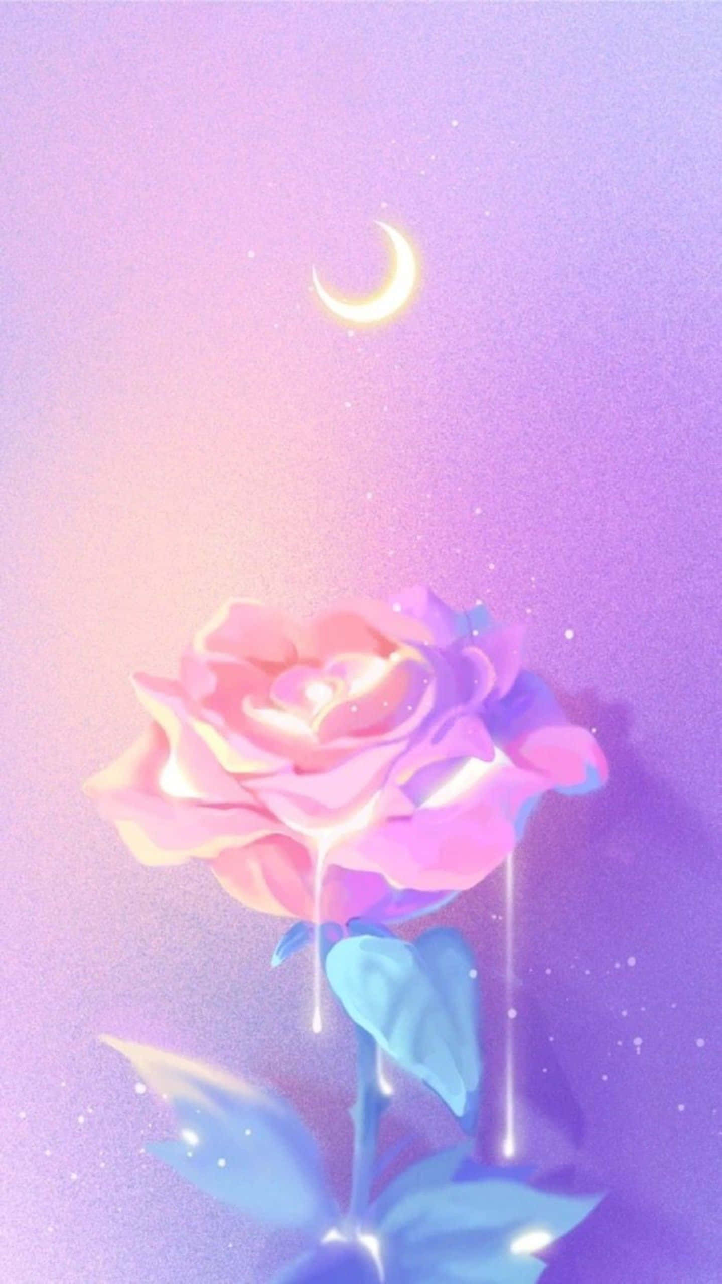 En mark med smukke lilla vilde blomster i solskinnet. Wallpapers