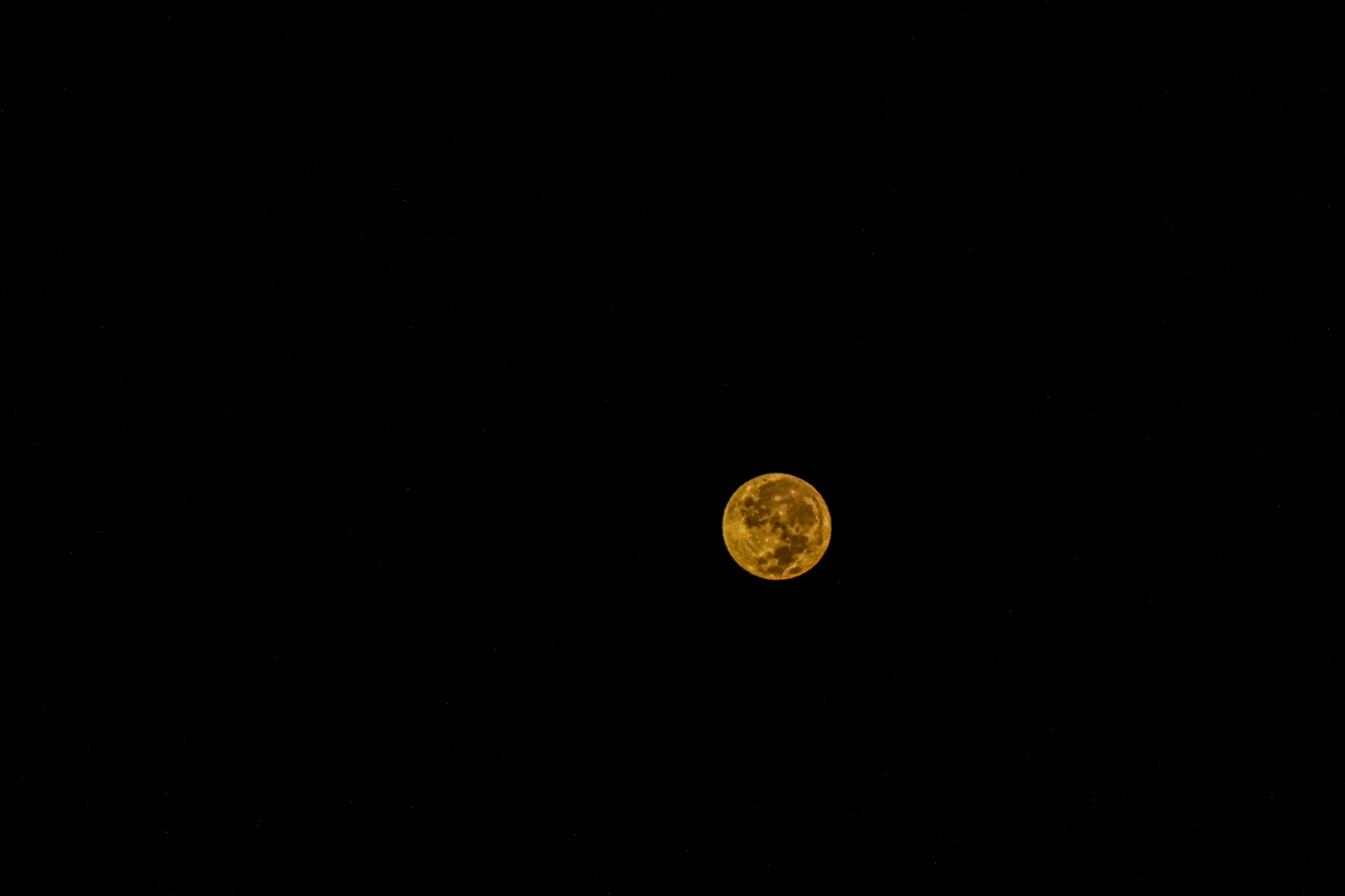 En monokrom nattehimmel fyldt med en klar gul måne Wallpapers