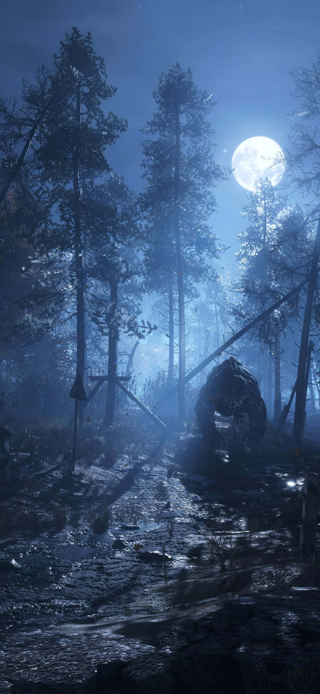 en mørk skov med fuldmåne Wallpapers