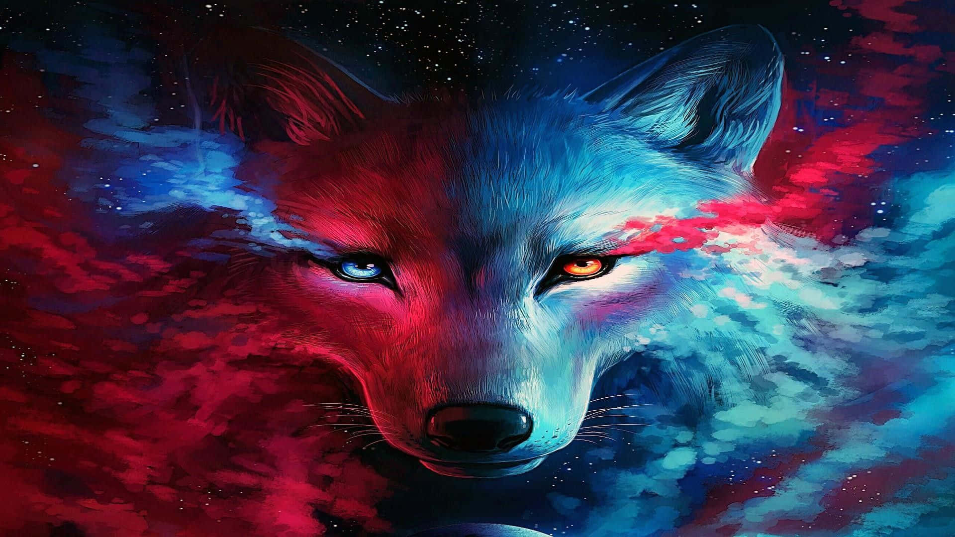 En mystisk sej ulv i en fredelig nat Wallpapers