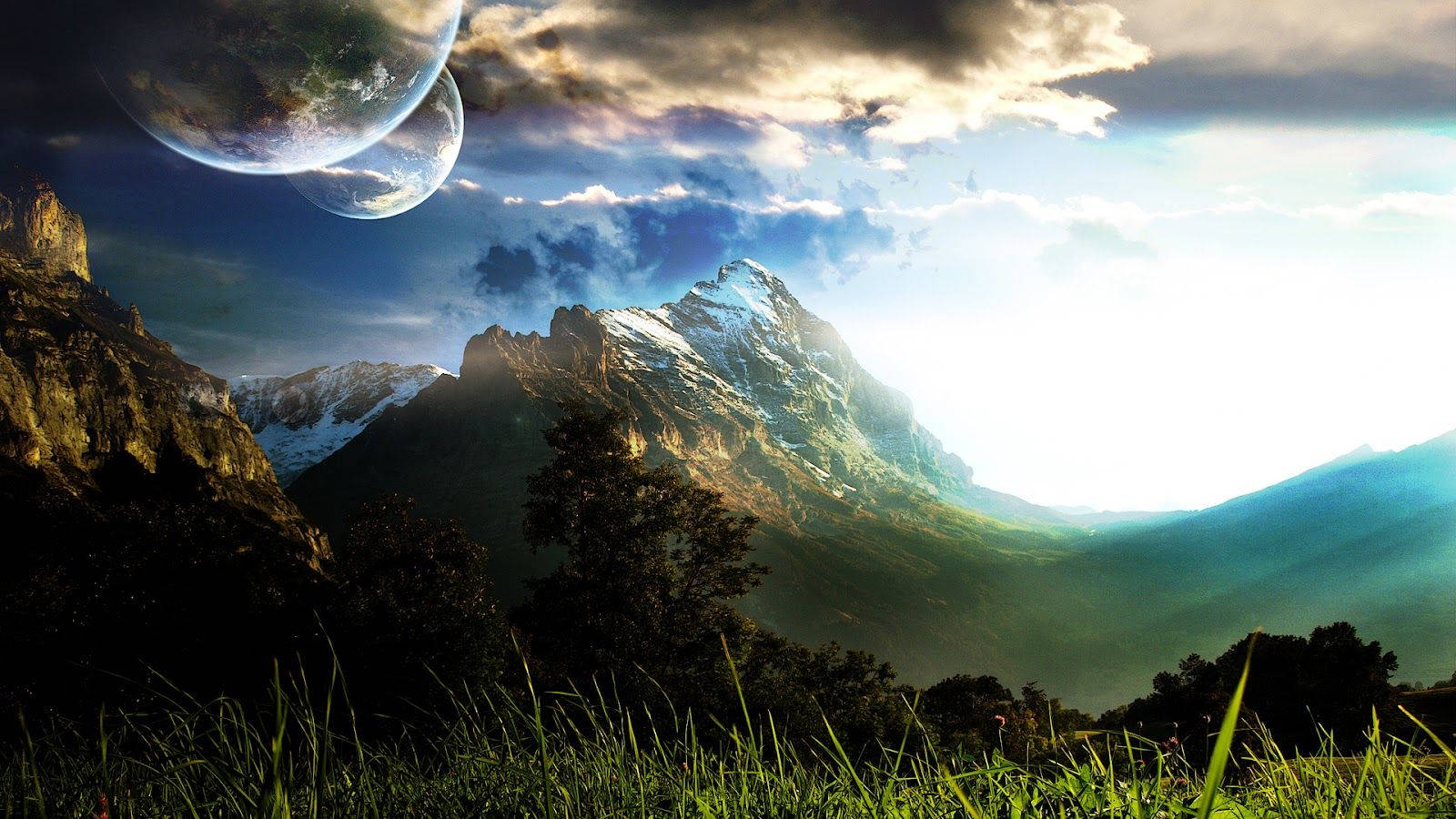 En mystisk tåget skov på en diset morgen. Wallpapers