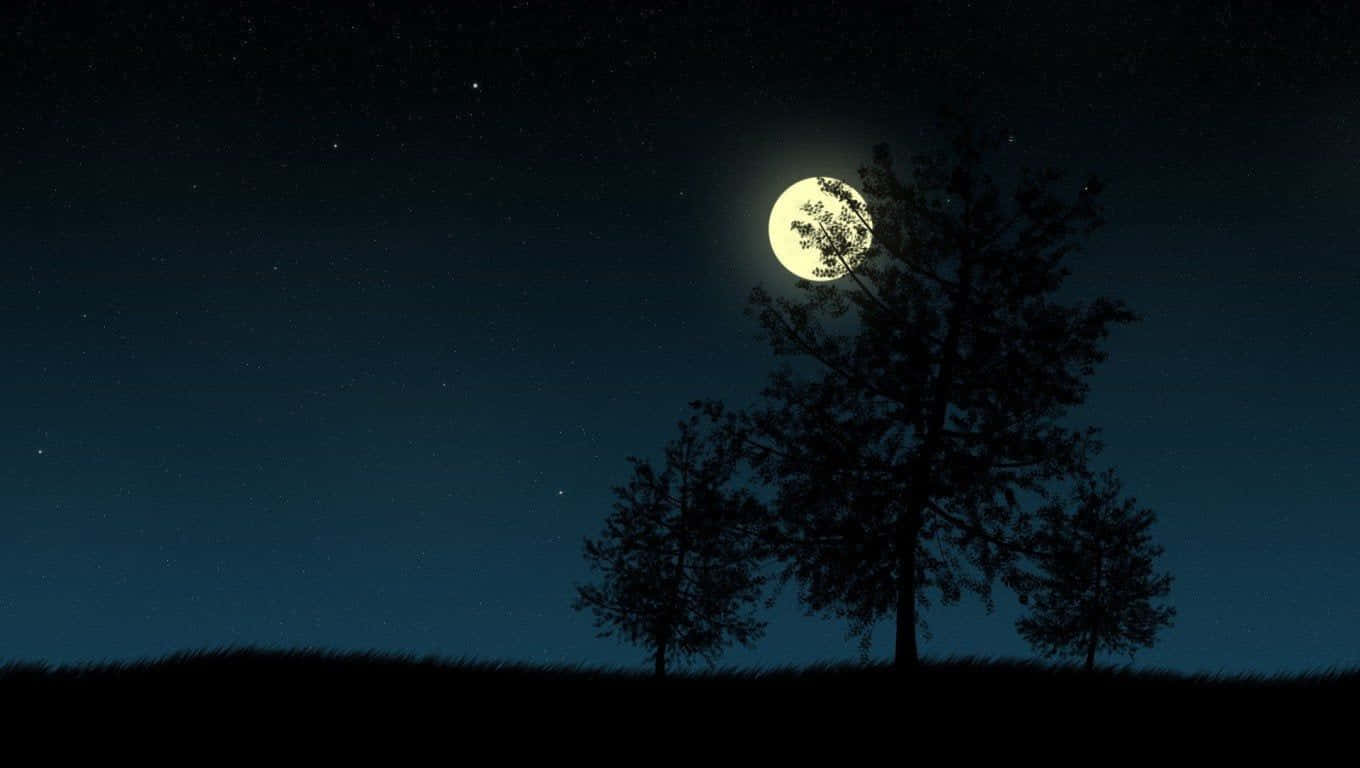 en nattehimmel med træer og en måne Wallpapers
