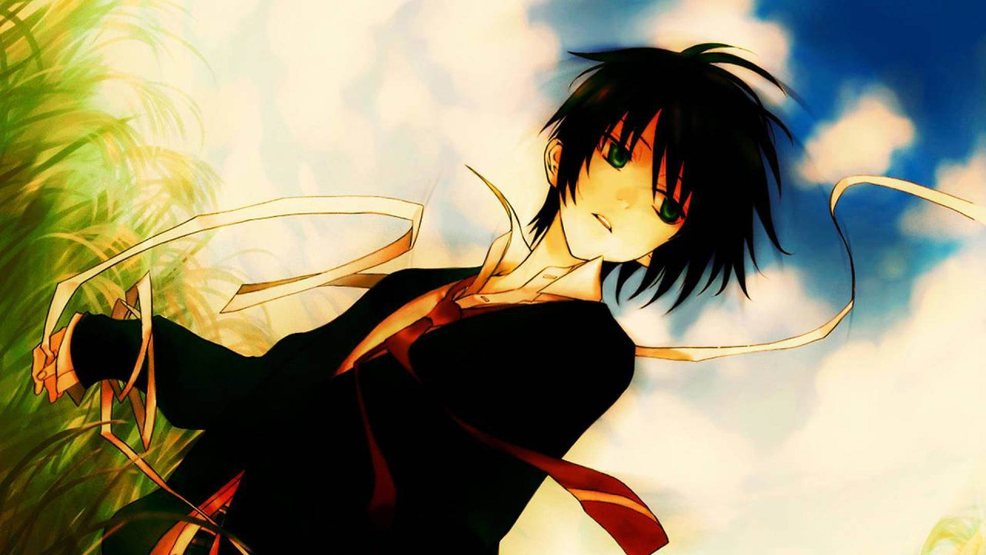 En nuttet anime-dreng på en græsmark Wallpapers