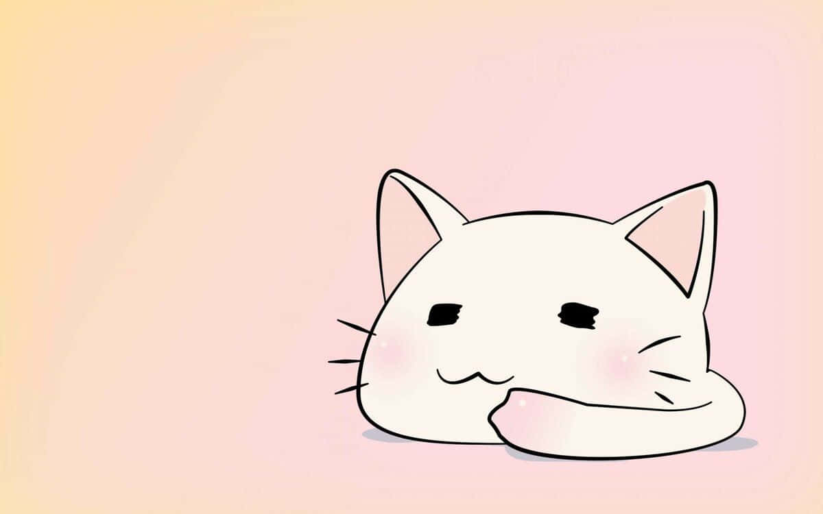 en nuttet anime-kat i dyrebutikken Wallpapers