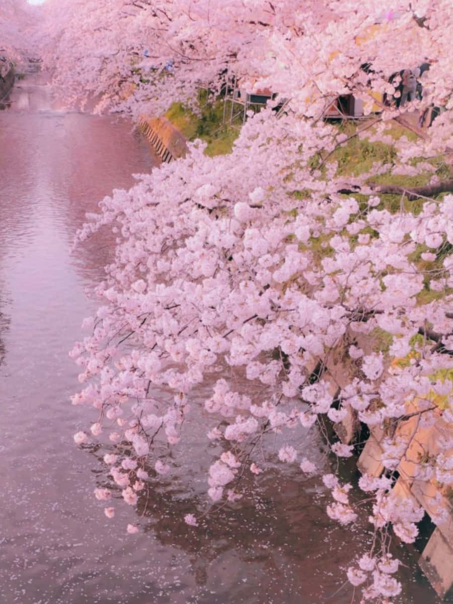 En pastel drømmeverden Wallpapers