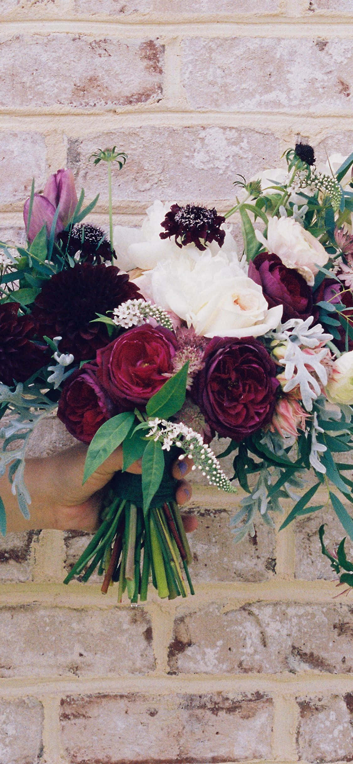 En person holder en buket blomster Wallpapers