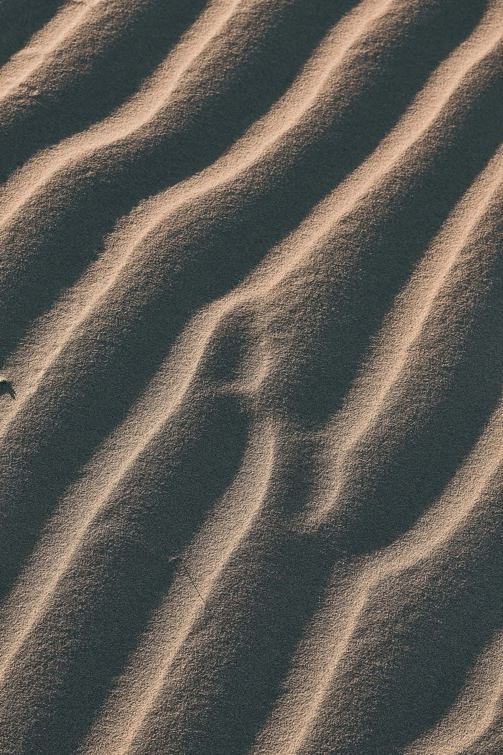 En sandklit med en fugl på Wallpapers