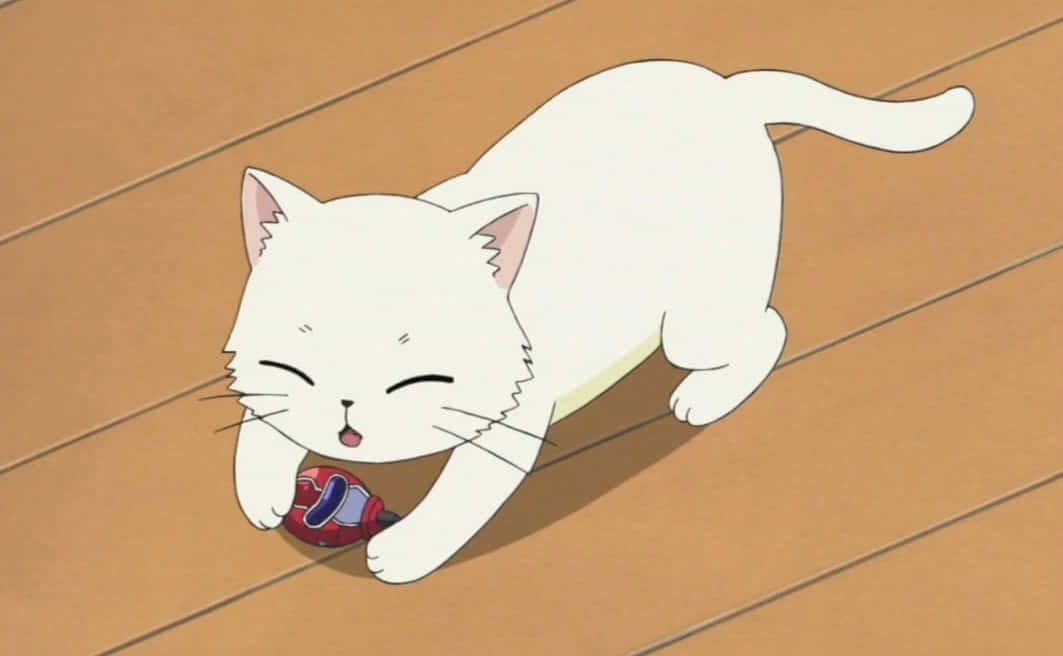 En sød anime-kat tager på eventyr Wallpapers