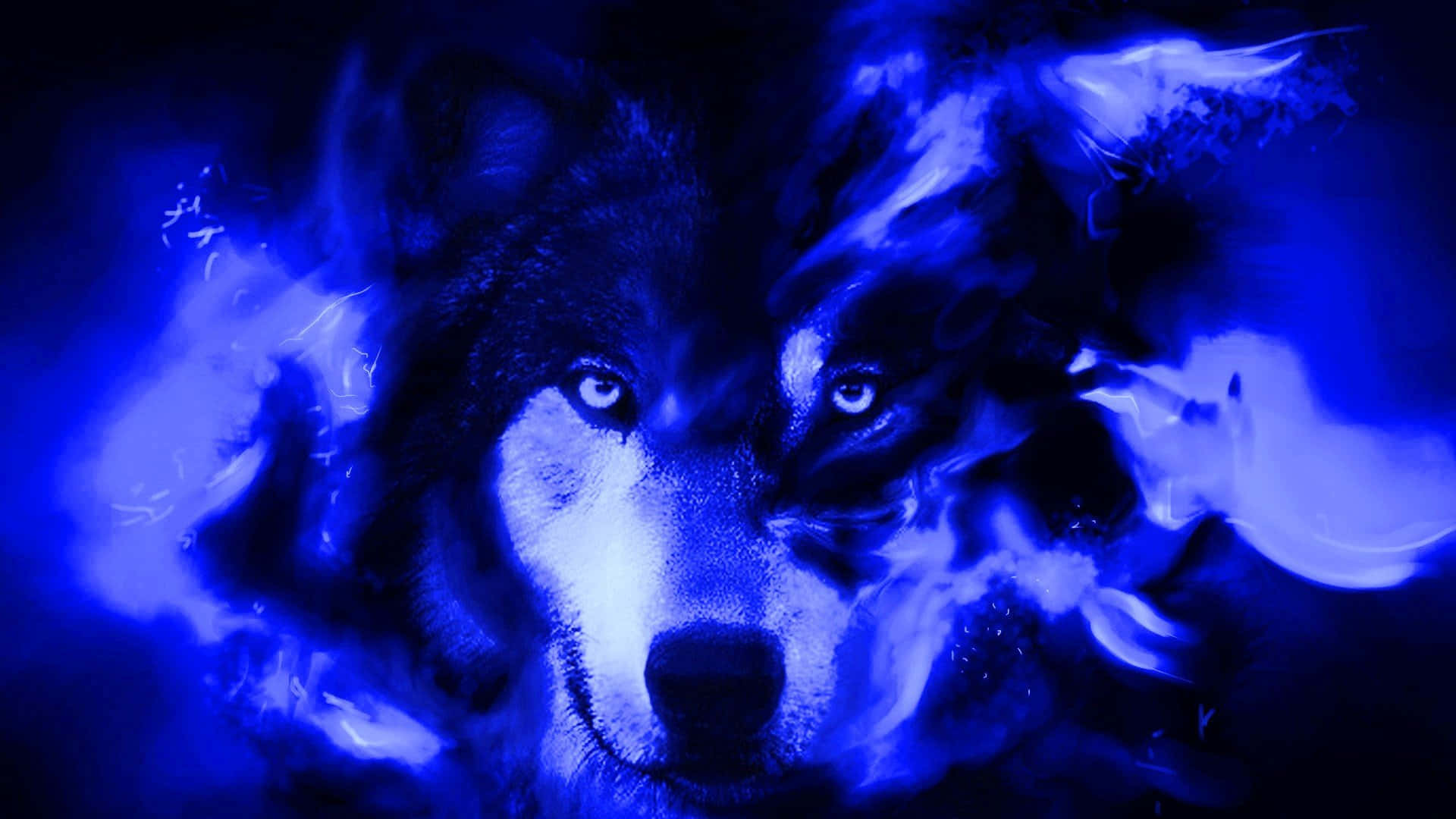 En sej ulv omgivet af måneskin Wallpapers