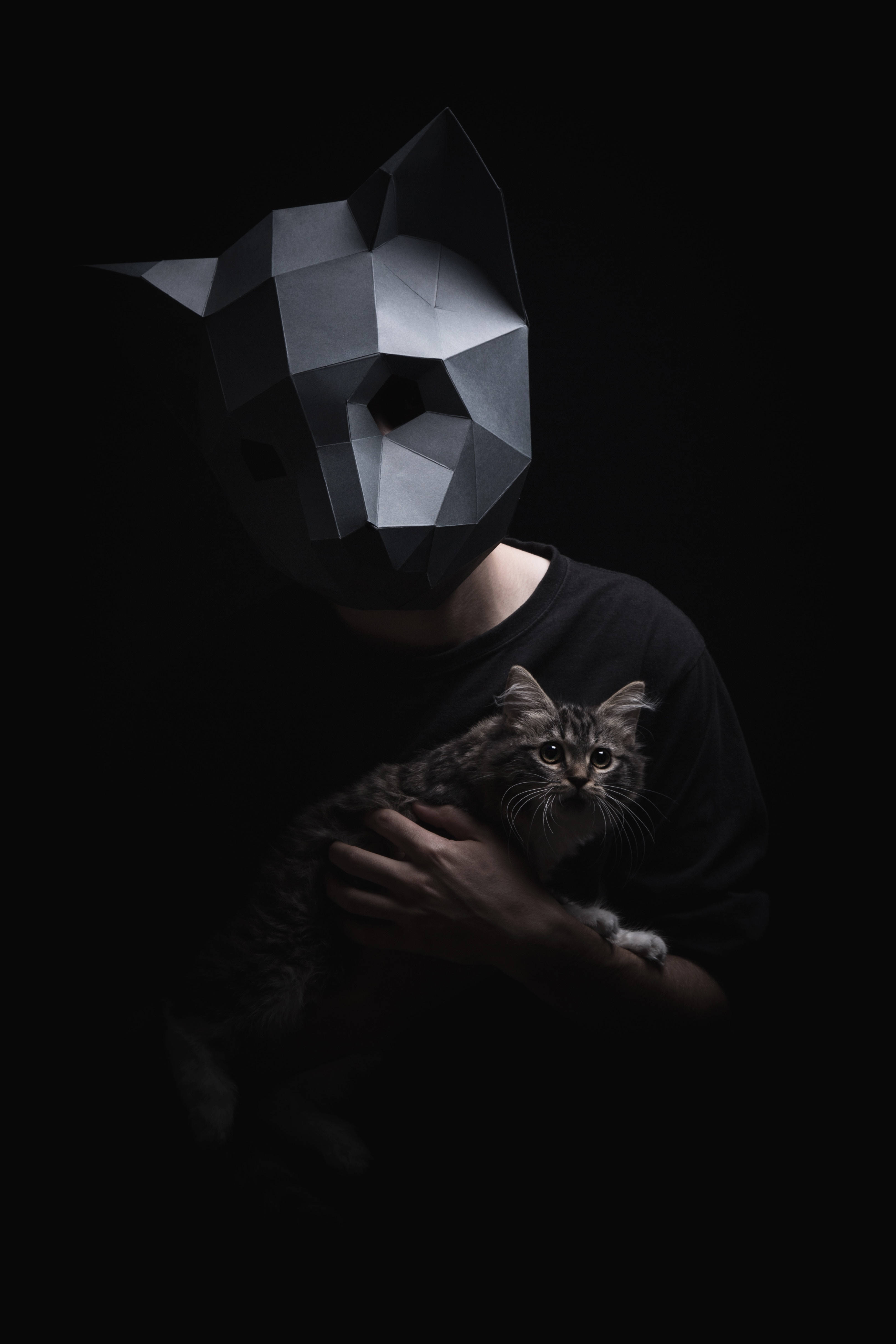 En sjov og unik 3D low-poly kat maske Wallpapers