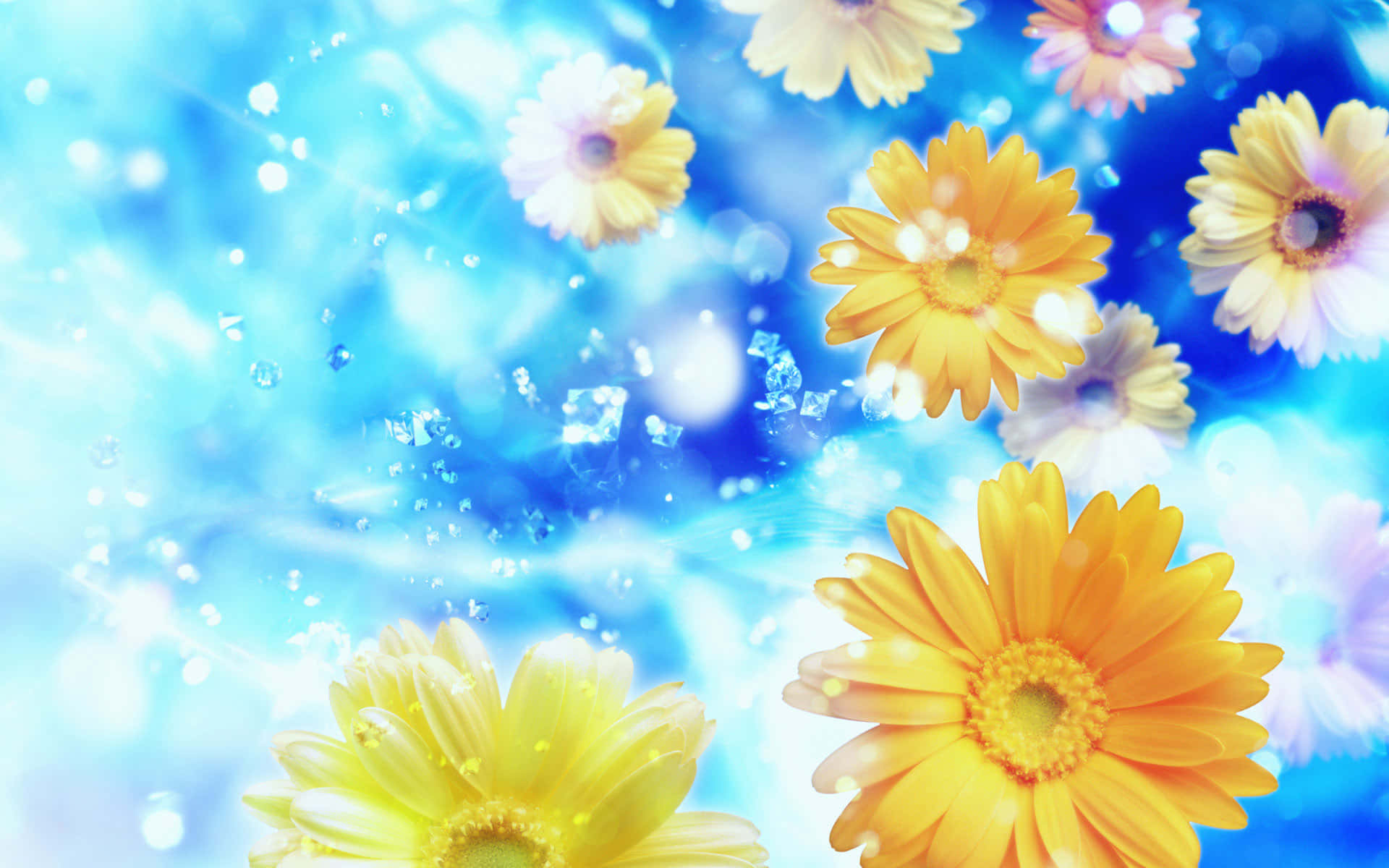 En smuk blomst blomstrer om foråret Wallpapers