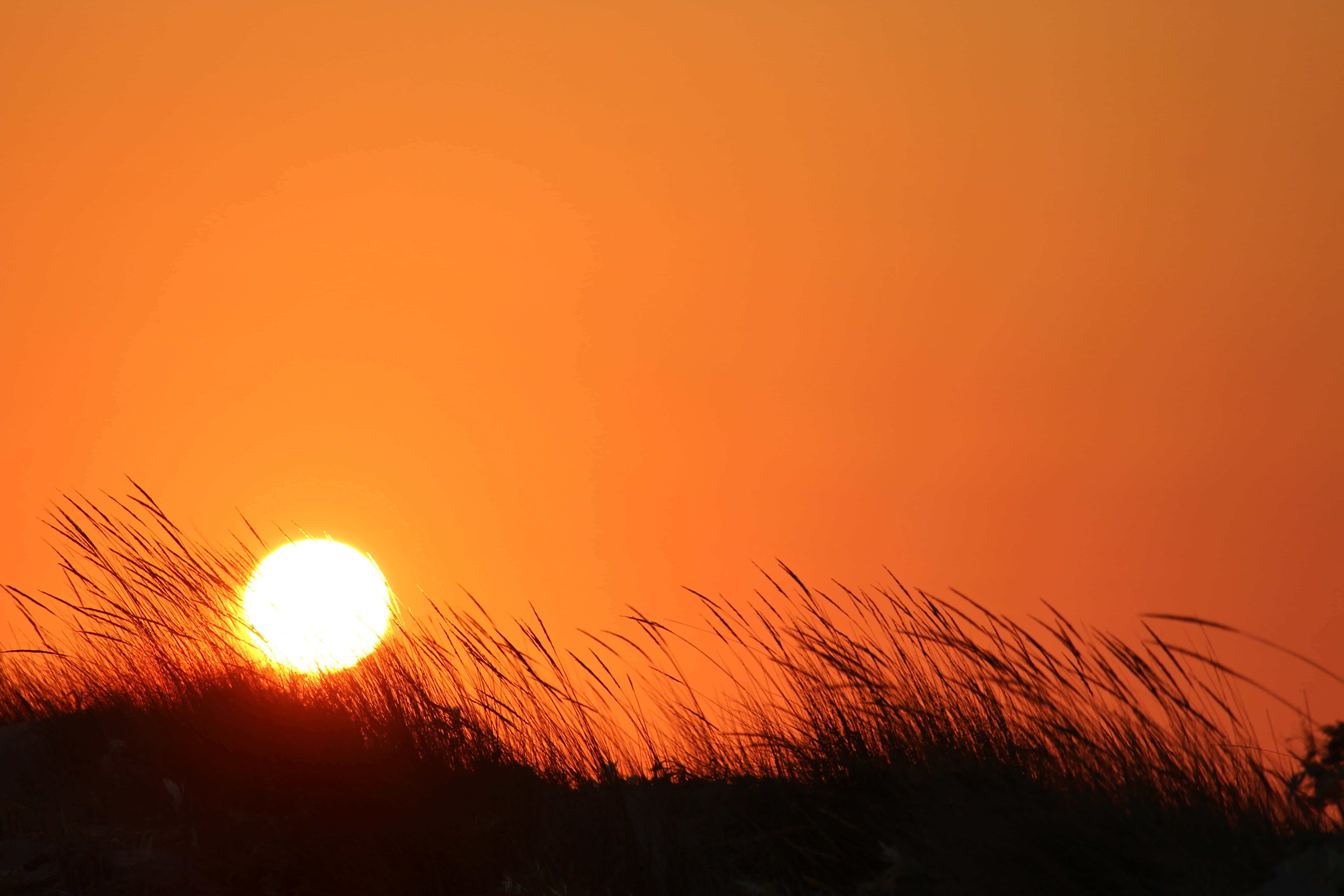 En smuk gylden solnedgang, der oplyser himlen Wallpapers