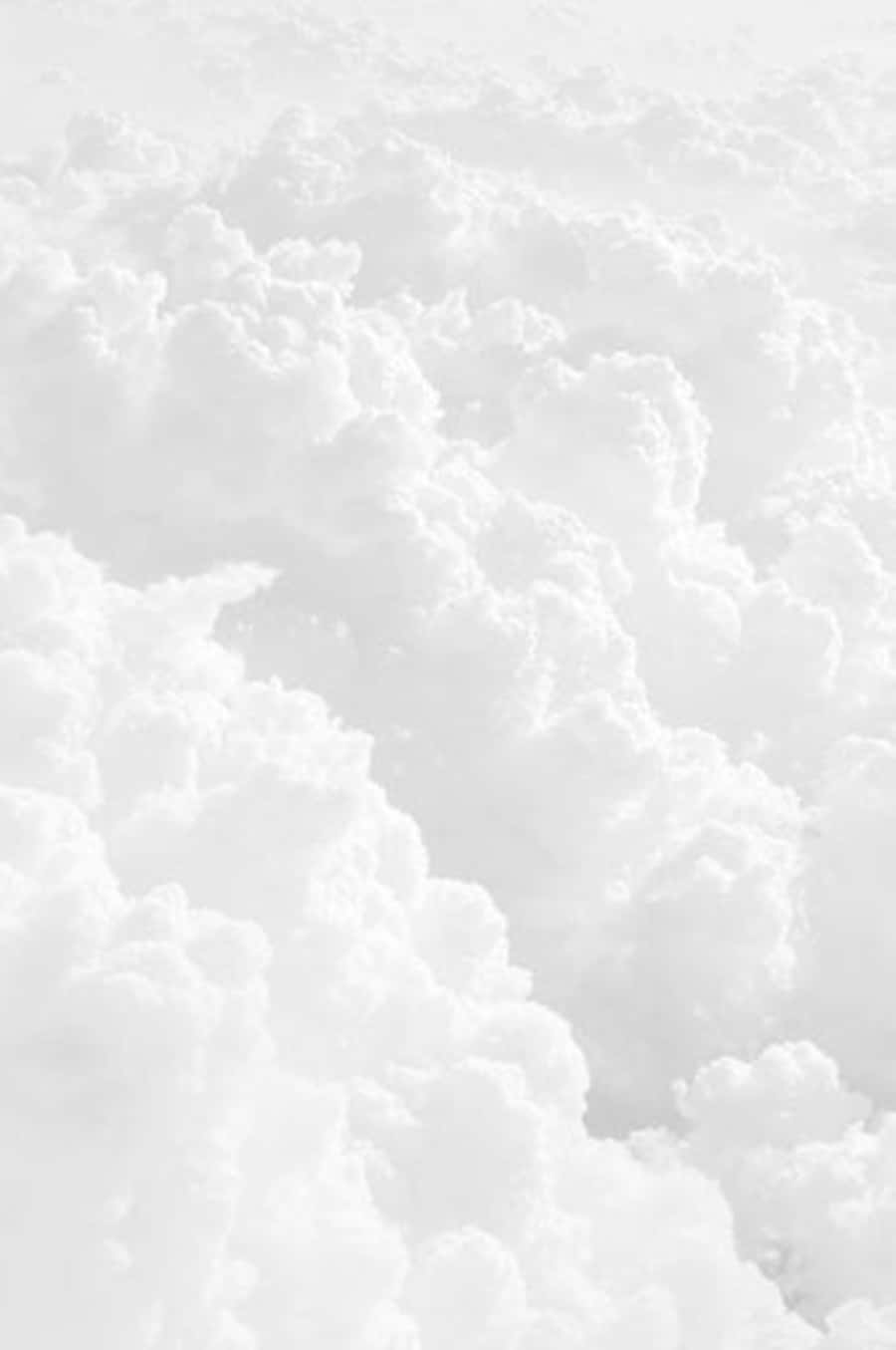 En smuk hvid æstetik, der tilføjer ro og skønhed til dit rum. Wallpapers