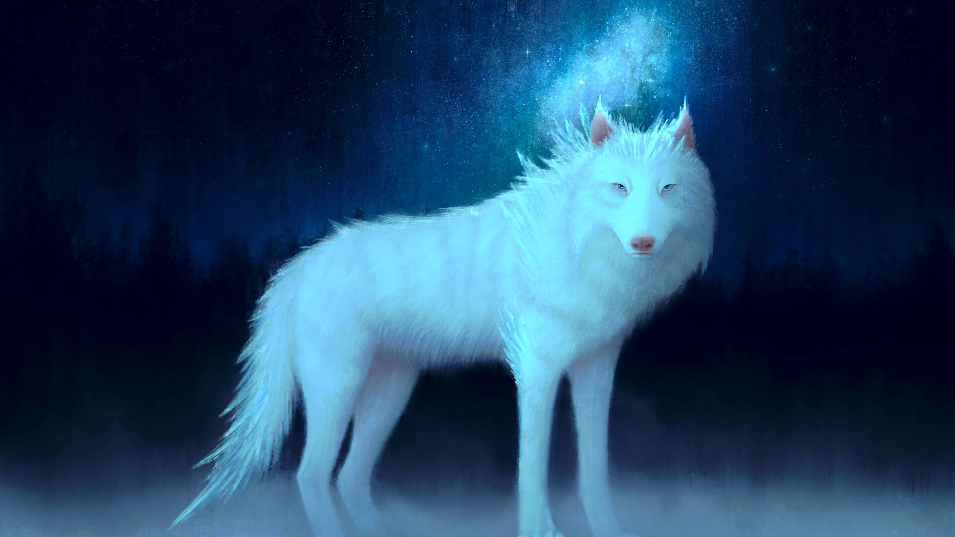 En smuk og kraftfuld skovulv, der vandrer gennem naturen Wallpapers