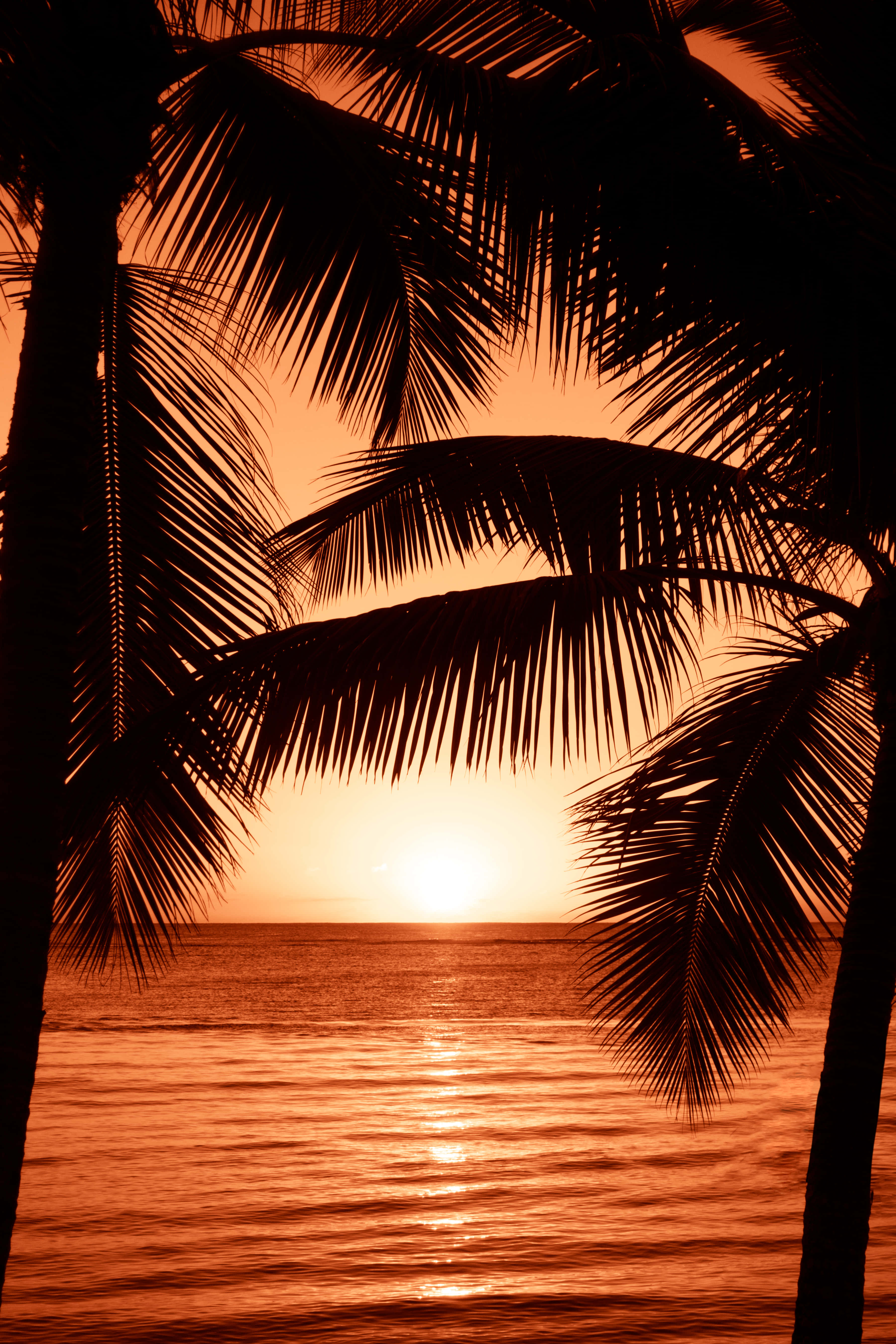 En smuk solnedgang ved stranden. Wallpapers