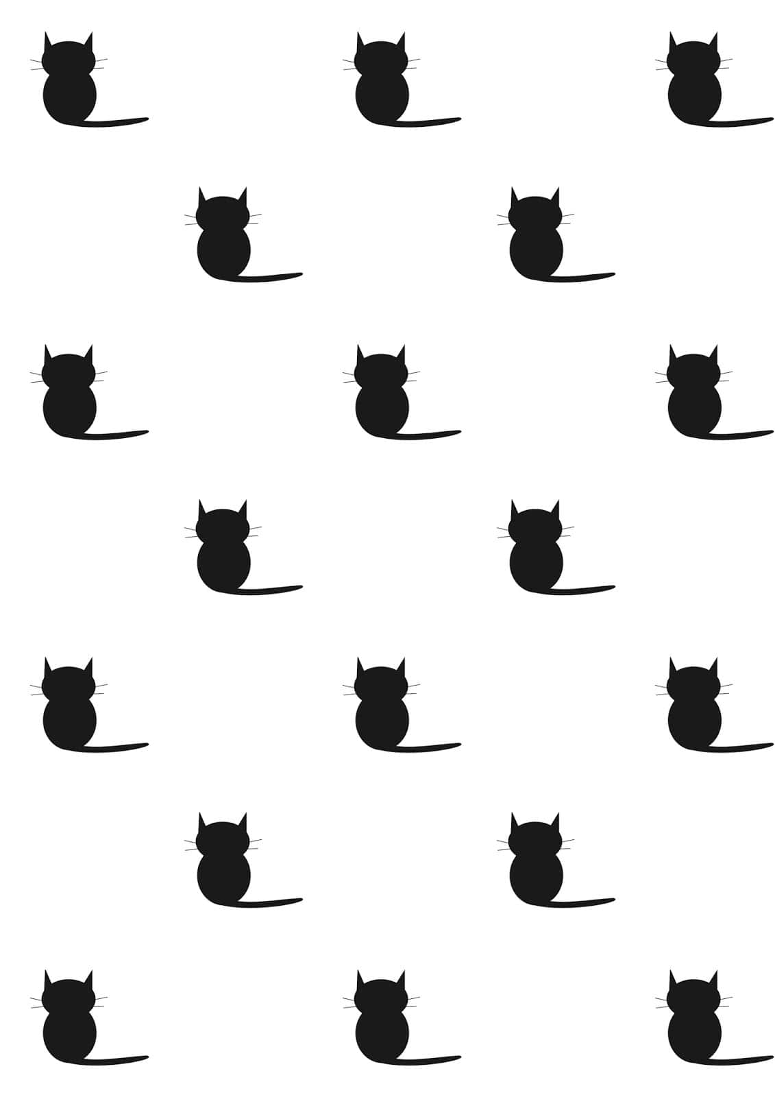 En smuk sort kat stirrer intenst. Wallpapers