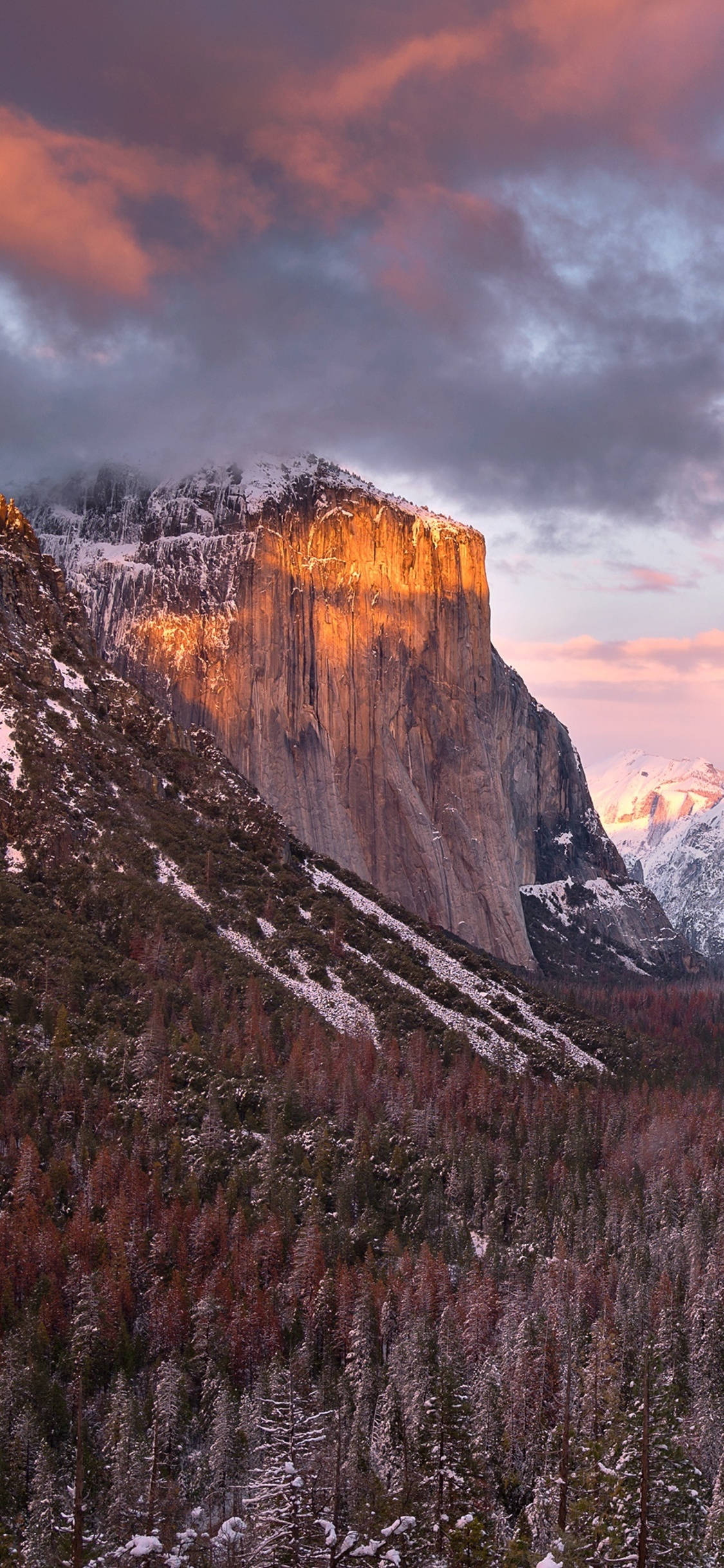 En smuk udsigt over Yosemite Nationalpark set gennem linsen på en iPhone Wallpapers