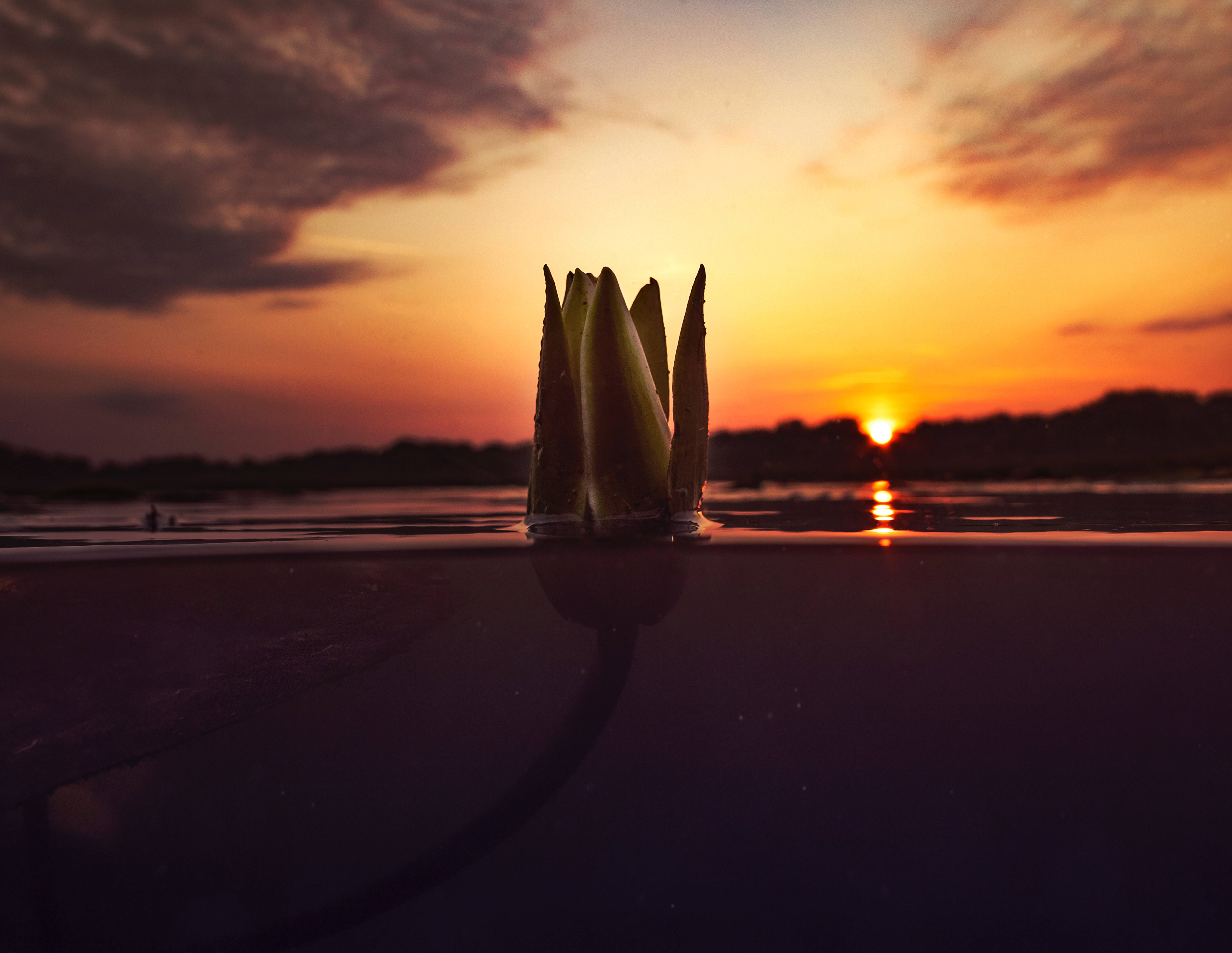 En smuk undervands solnedgang Wallpapers
