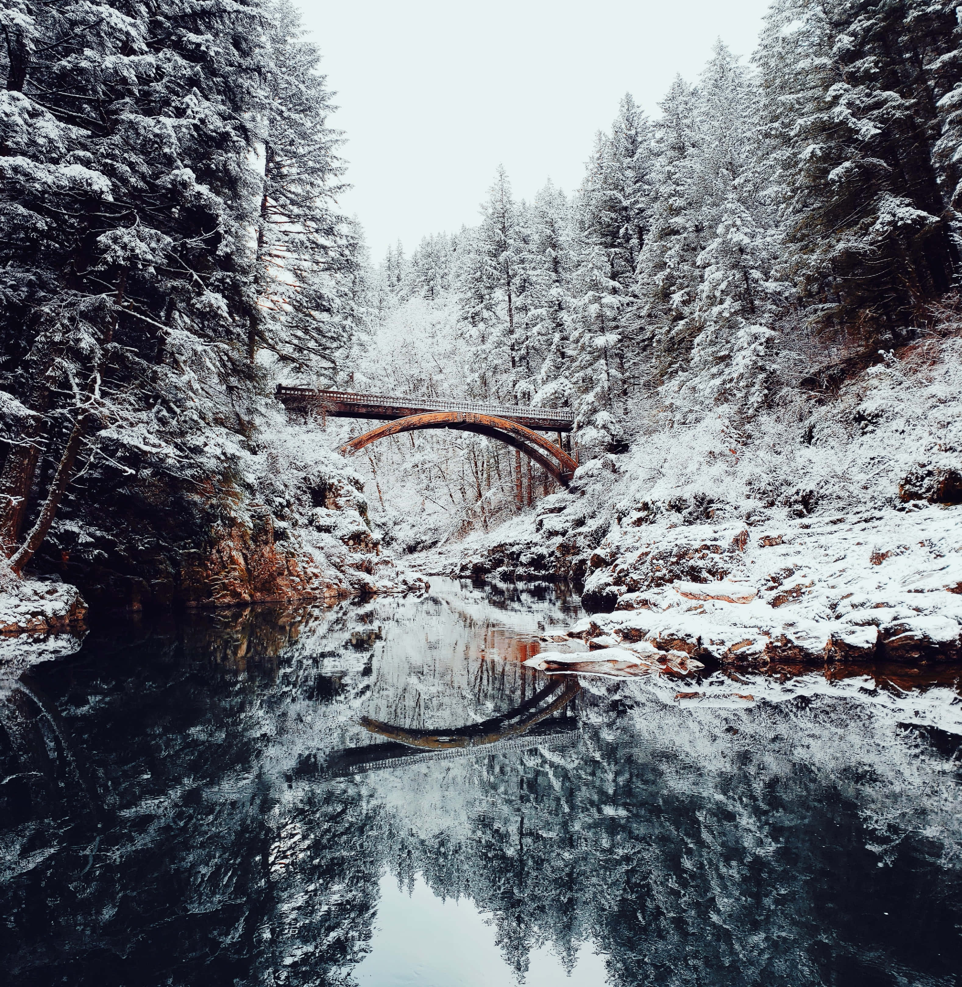 En smuk vinteridyl Wallpapers