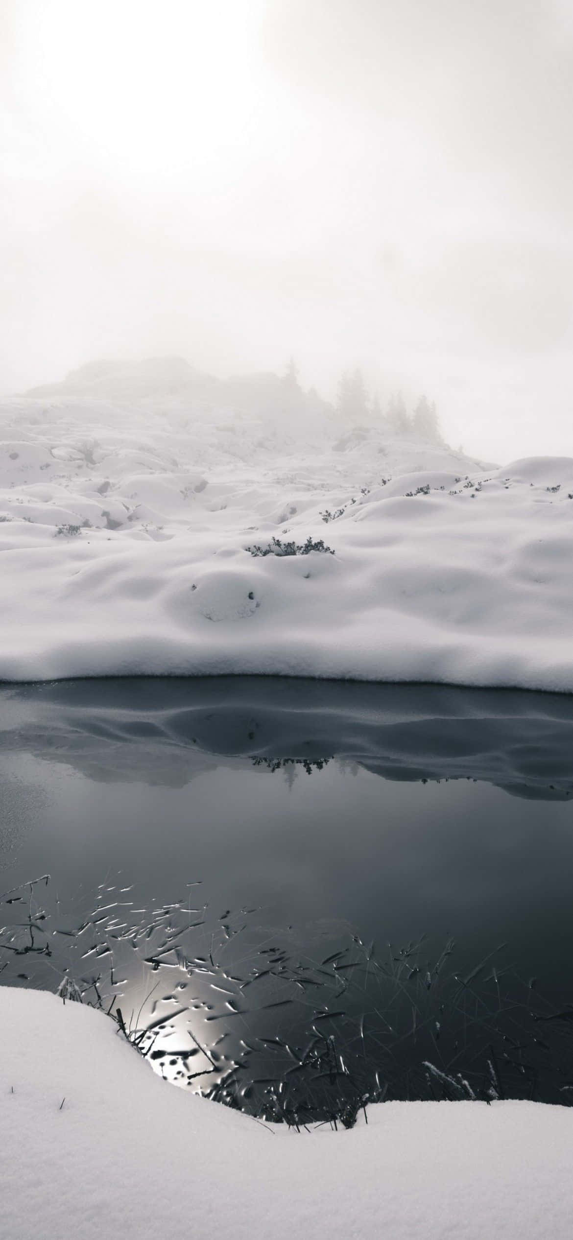 en snedækket sø med en spejling Wallpapers