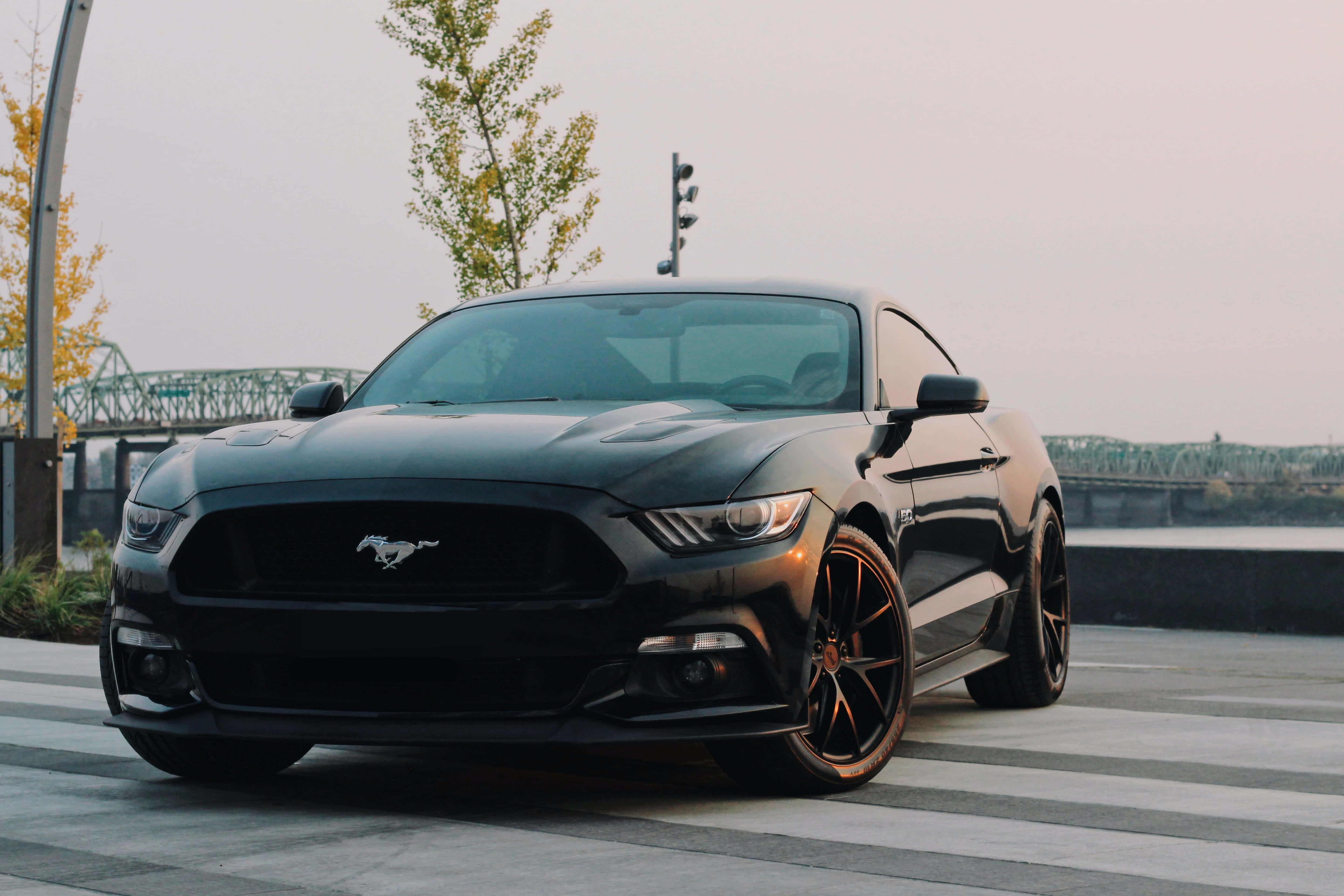 en sort Ford Mustang parkeret på en gade Wallpapers